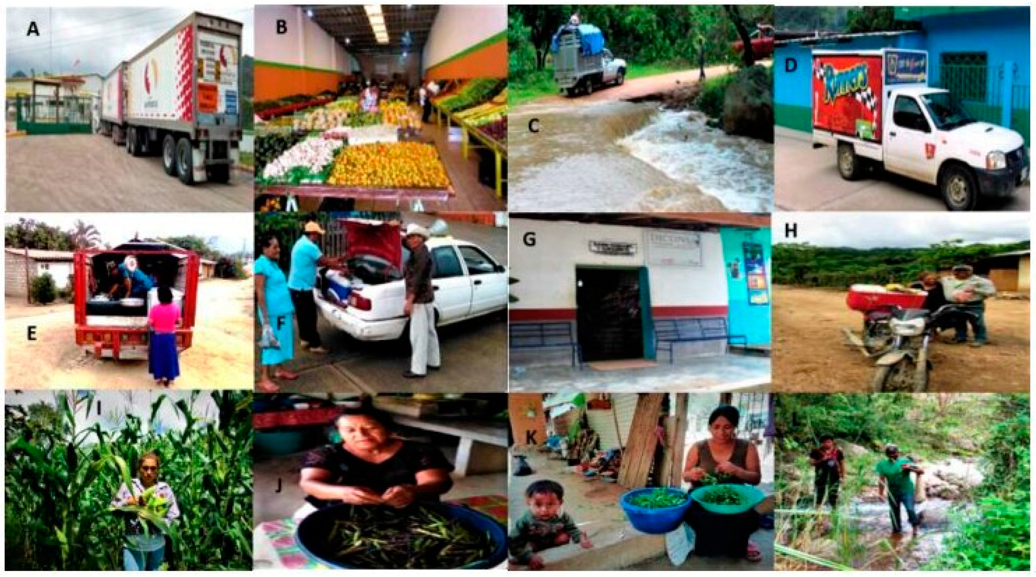 Sustainability 14 06751 g007 550