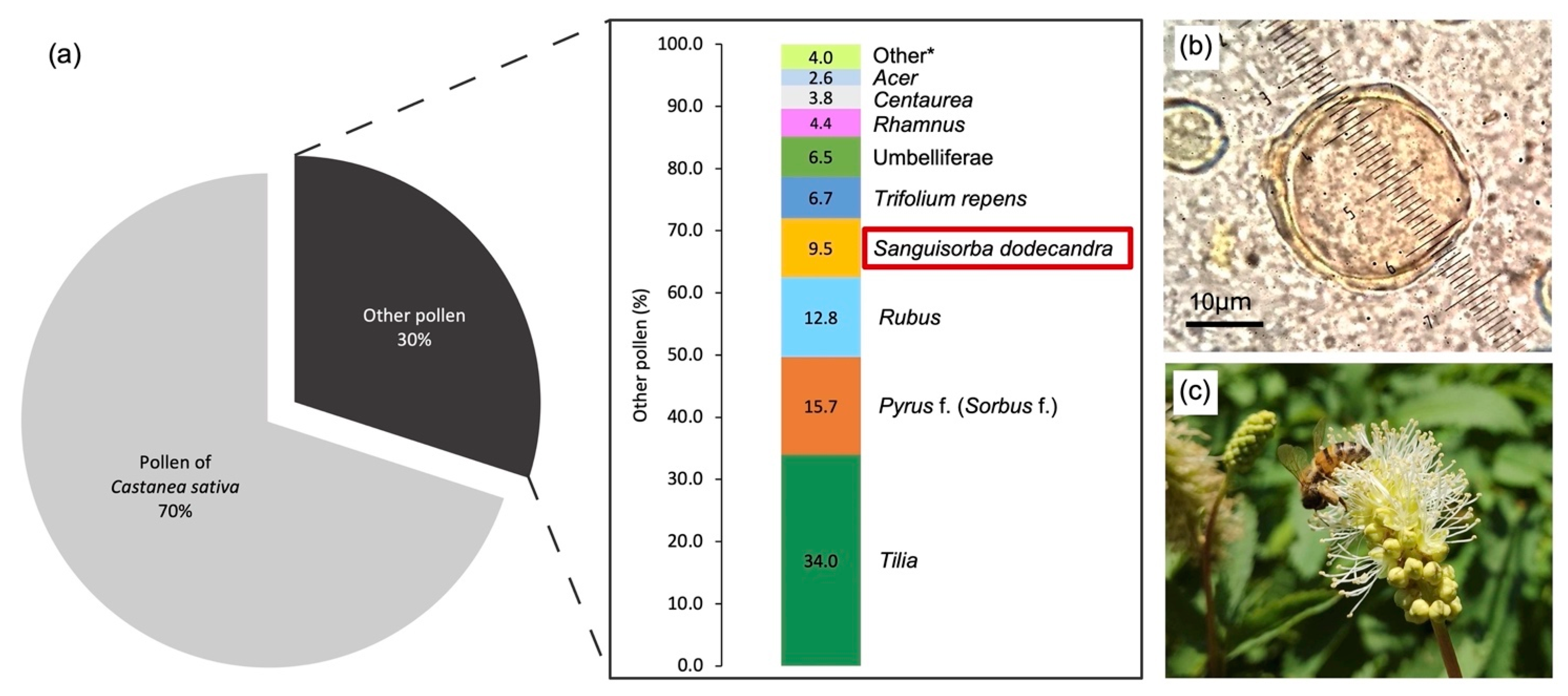 Sustainability 14 06825 g005 550