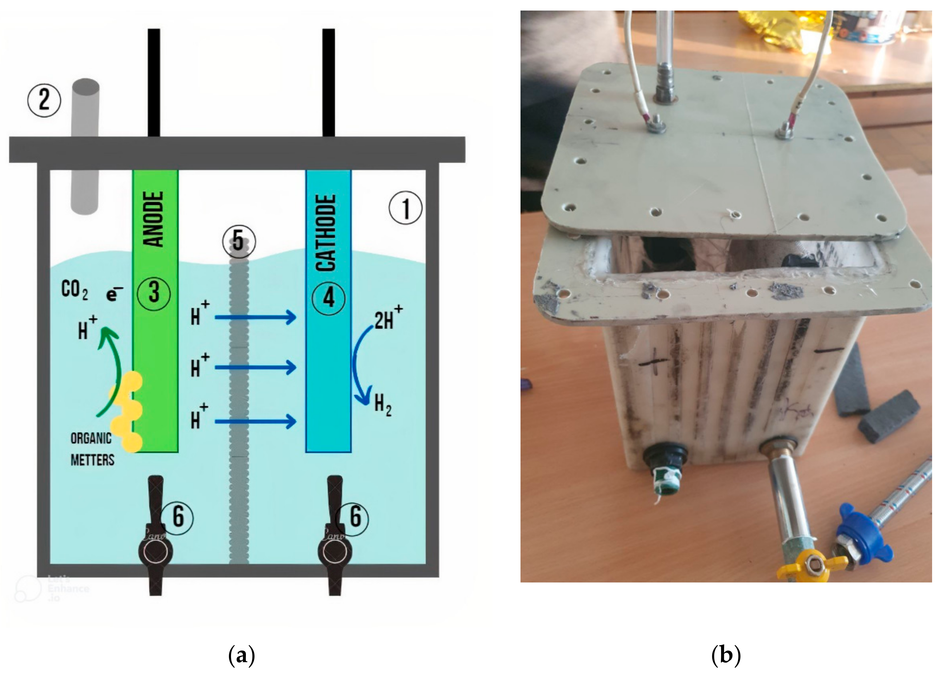 Sustainability 14 06826 g003 550