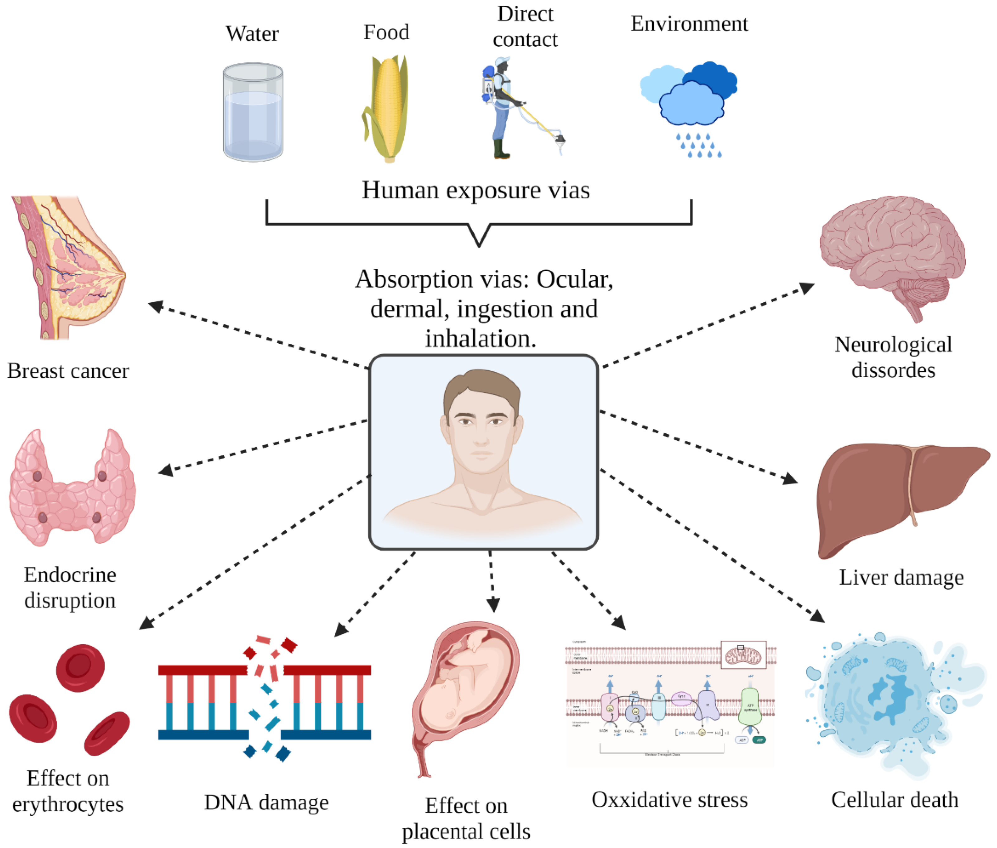 Sustainability 14 06868 g002