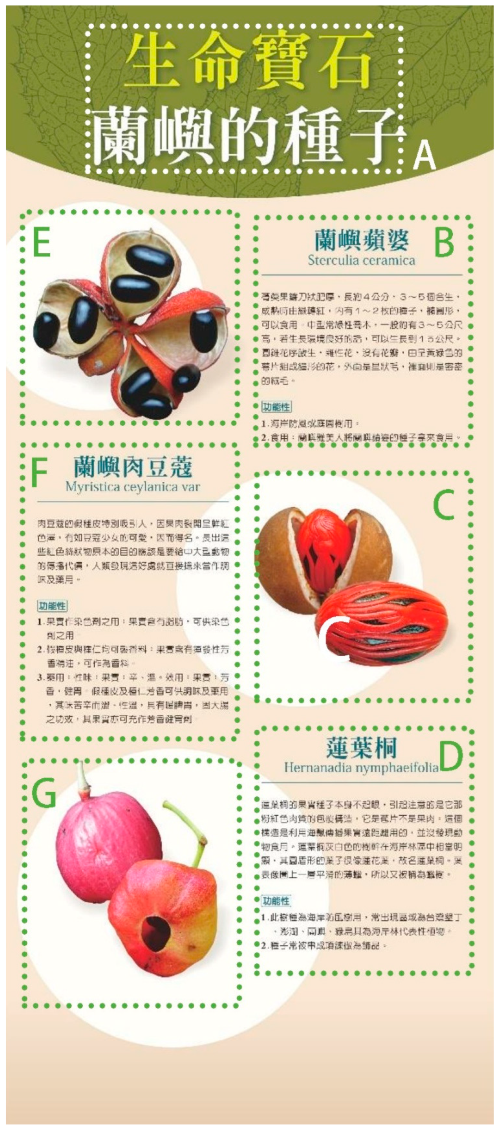 Sustainability 14 06932 g002 550