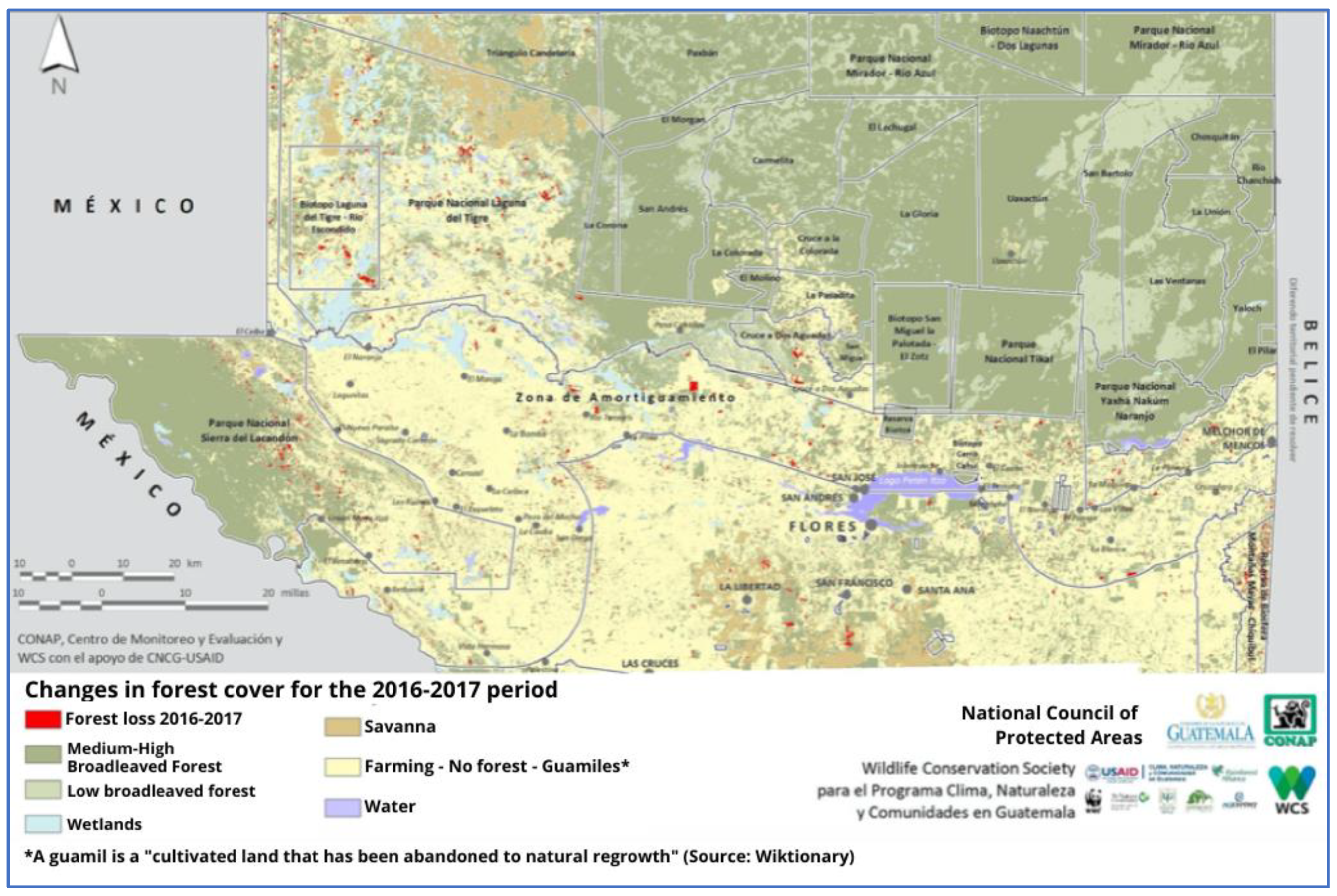 Sustainability 14 06953 g002 550