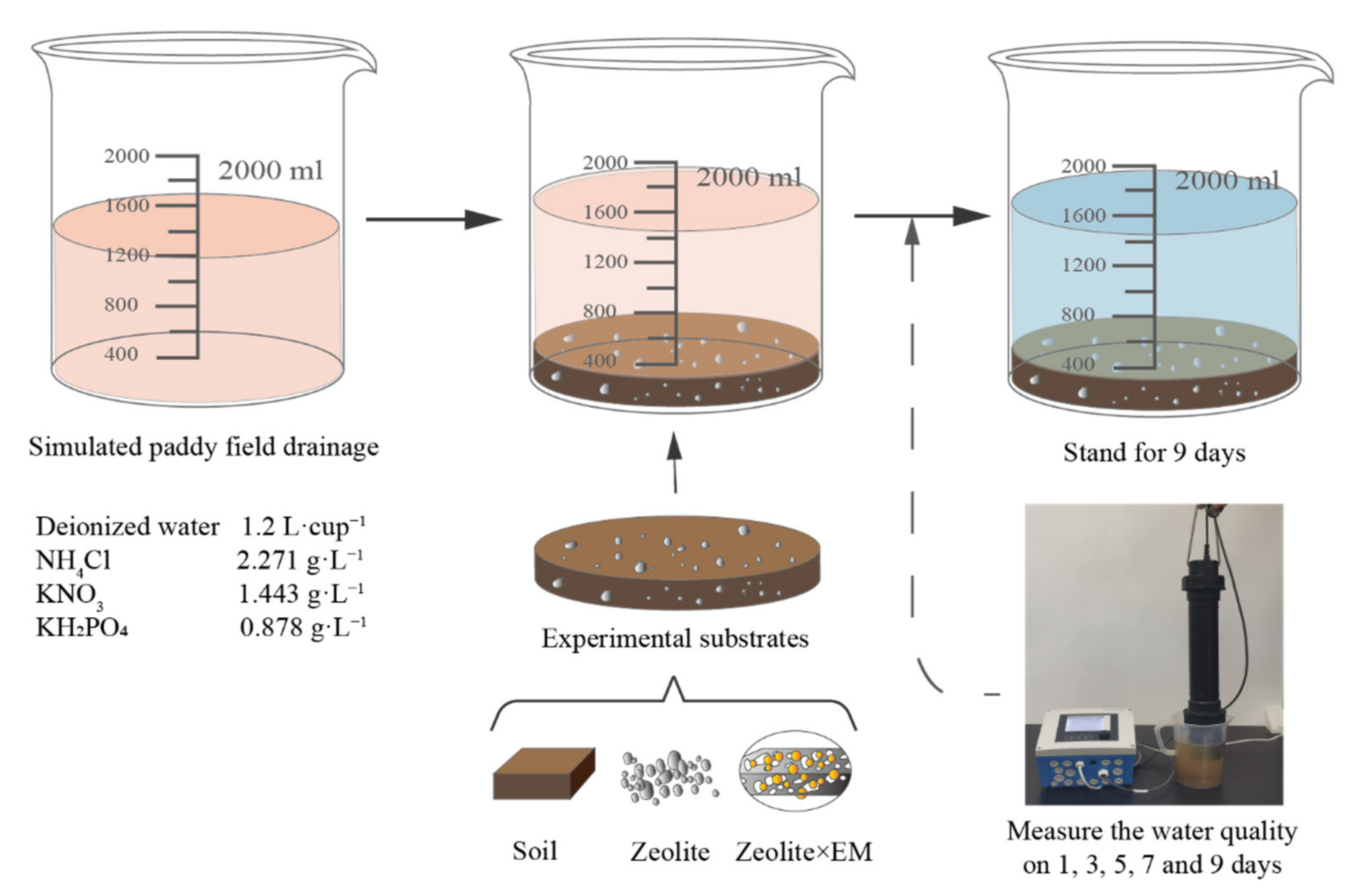 Sustainability 14 06992 g001 550