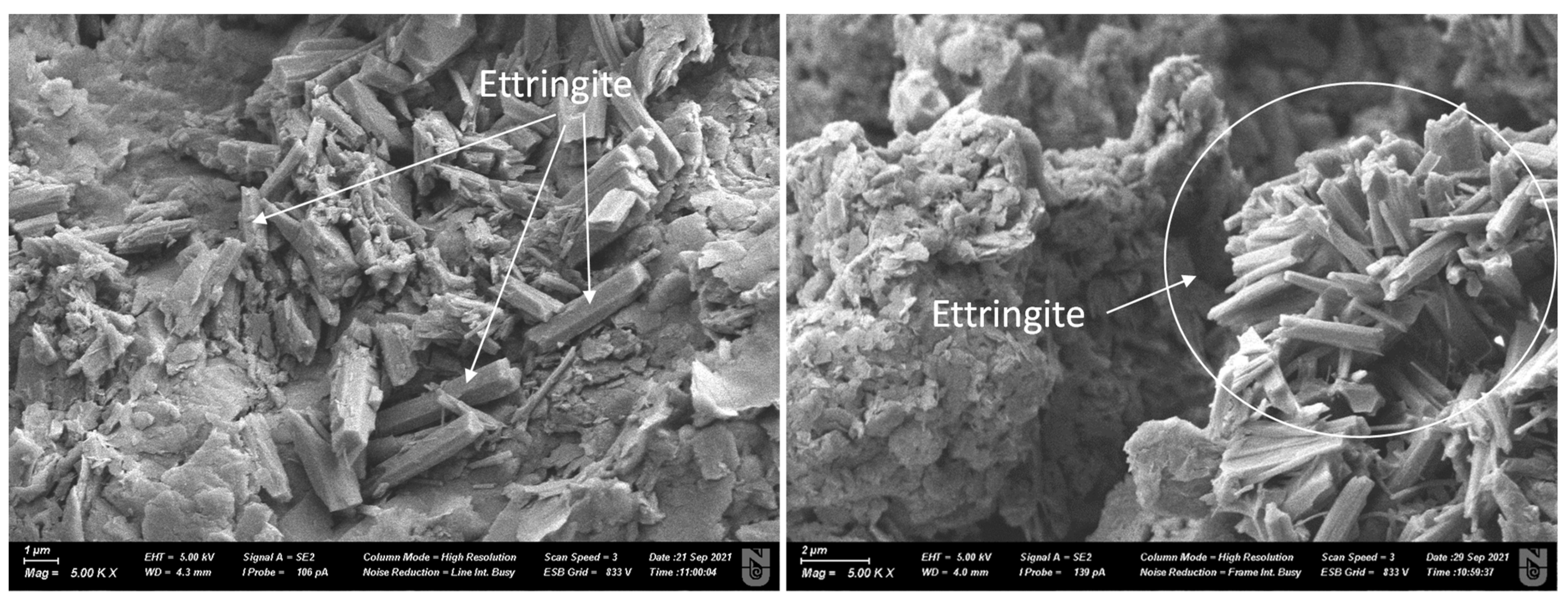 Sustainability 14 07000 g011 550
