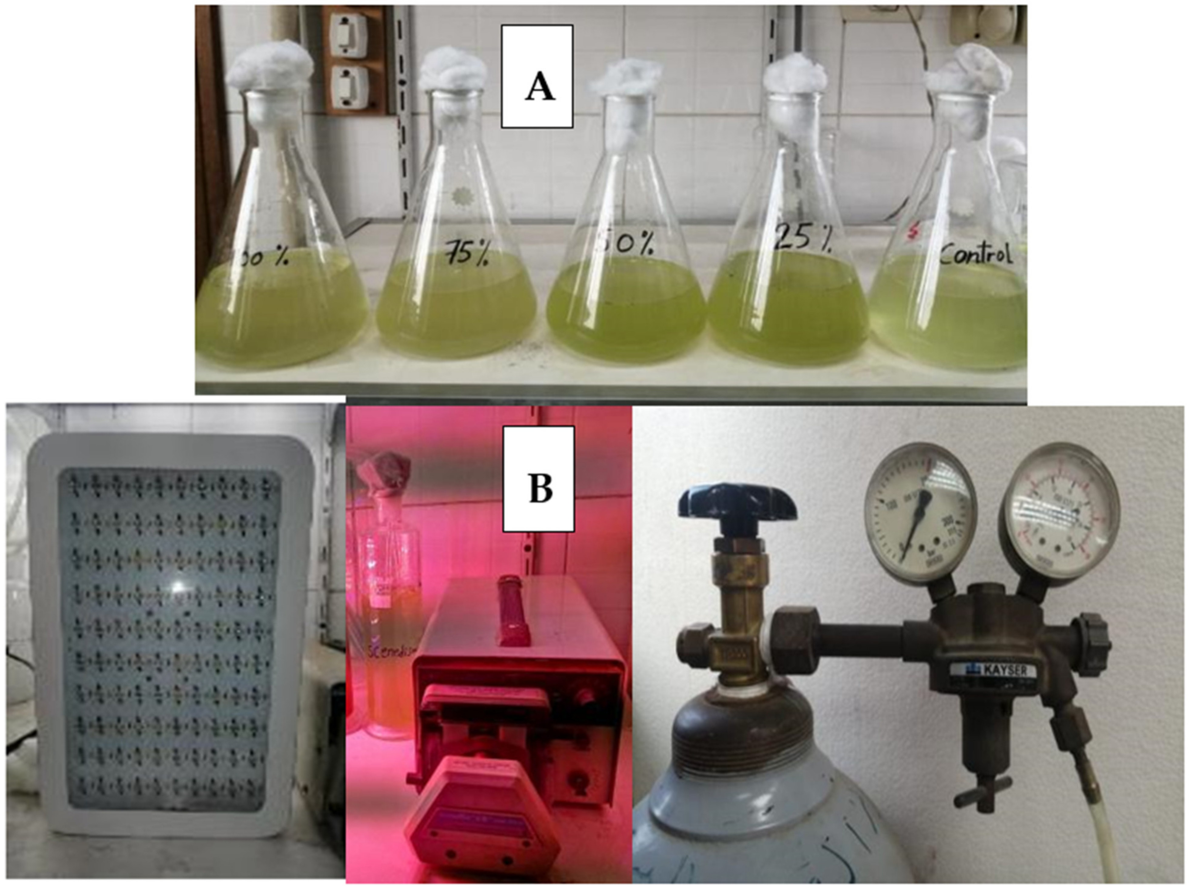 Sustainability 14 07018 g003 Sustainability 14 07018 g003