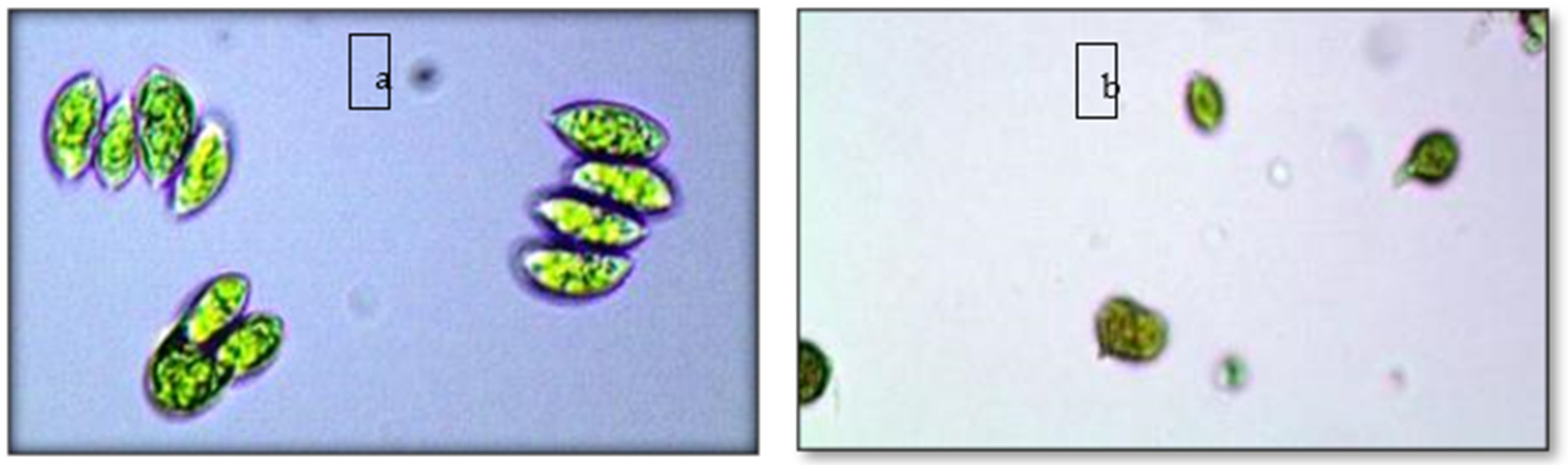 Sustainability 14 07018 g014 Sustainability 14 07018 g014