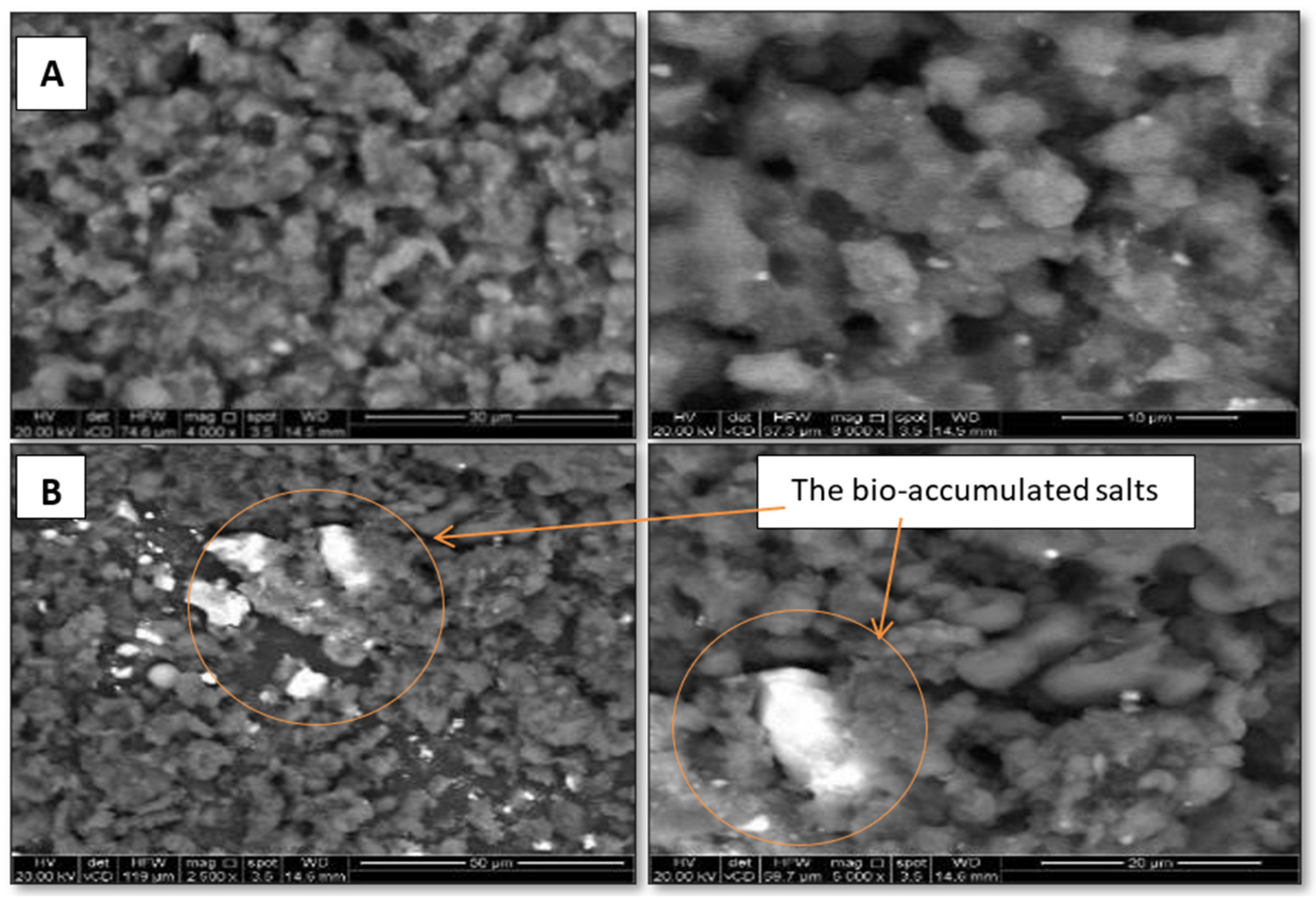 Sustainability 14 07018 g015 Sustainability 14 07018 g015