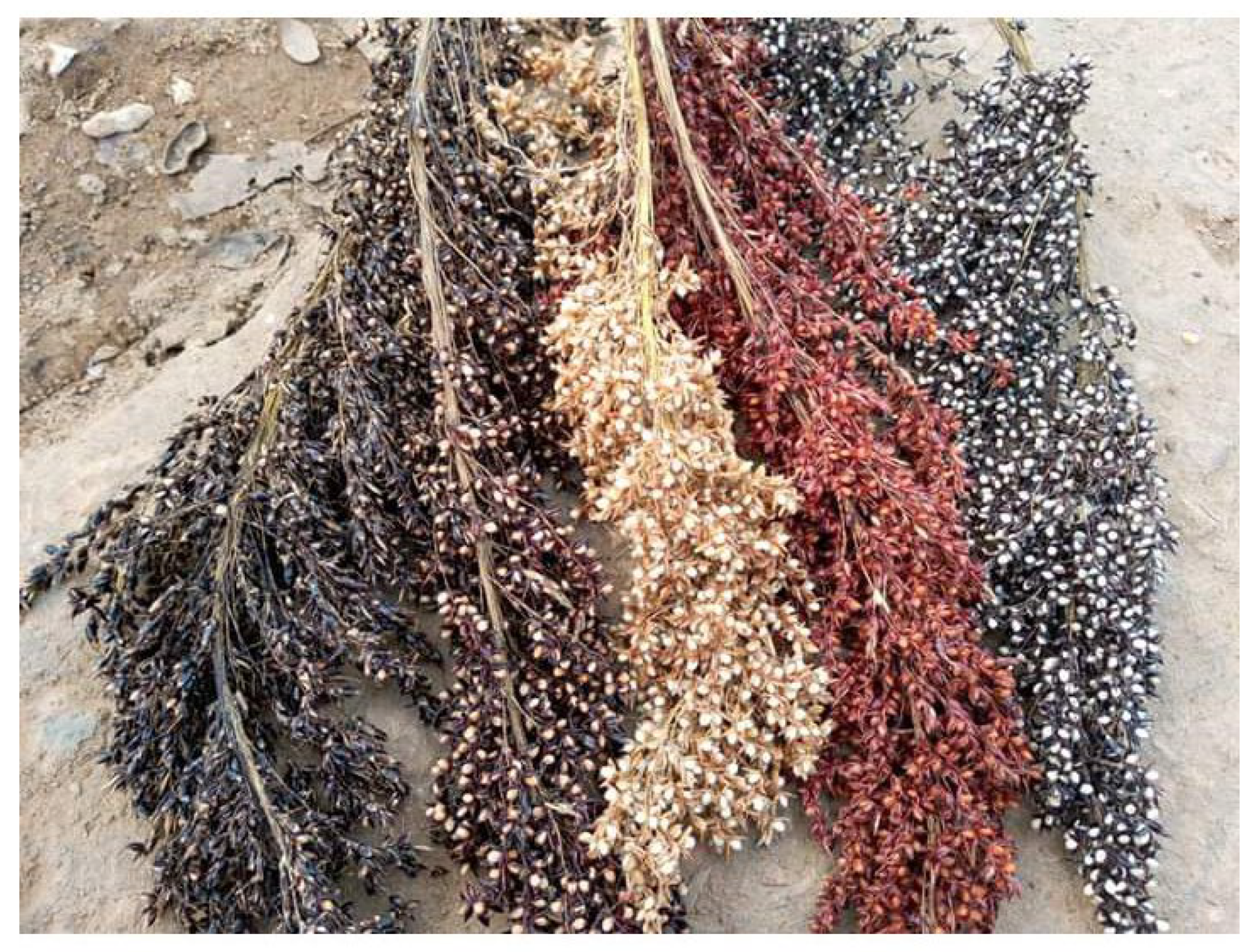 Sustainability 14 07025 g002