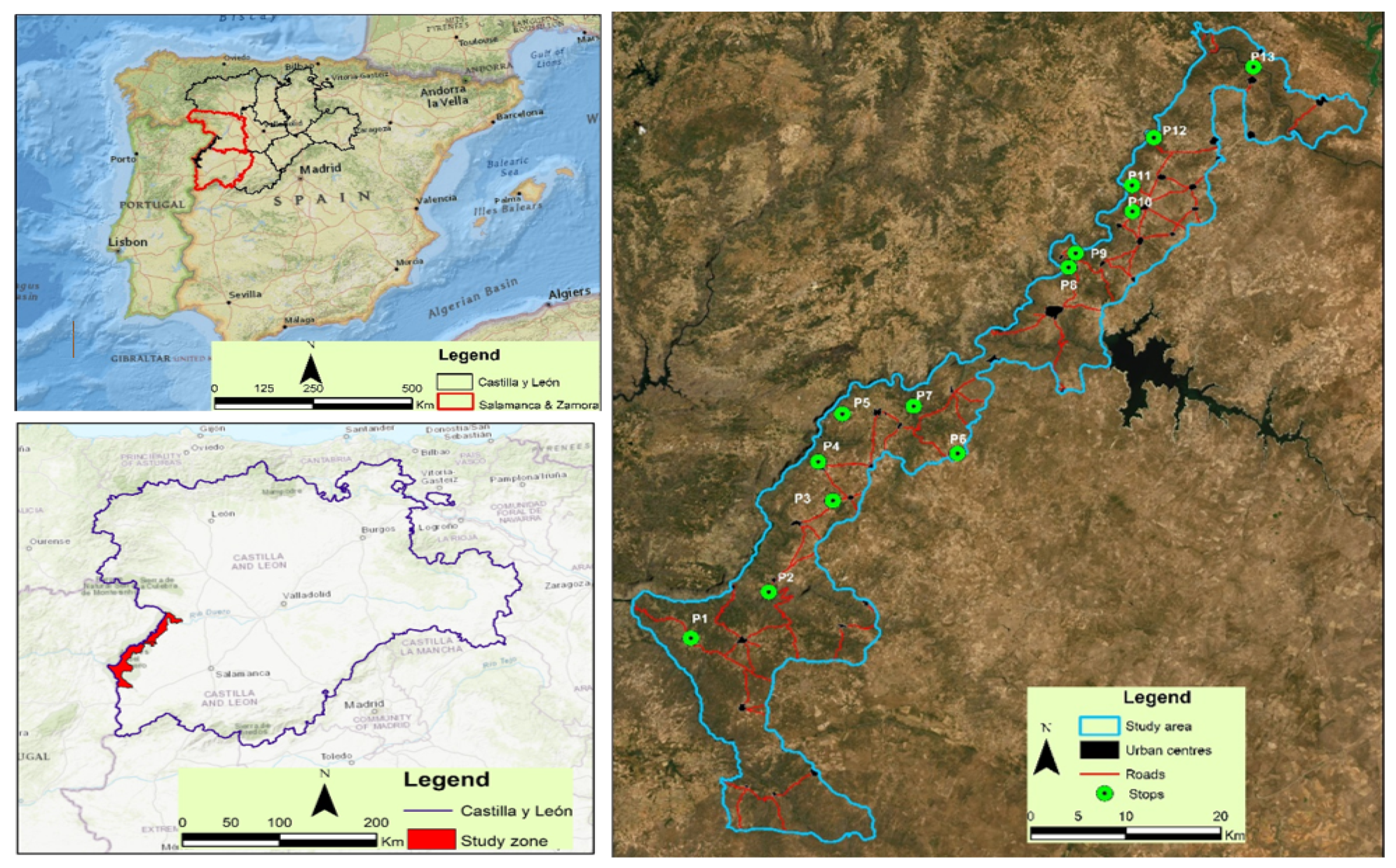 Sustainability 14 07066 g001