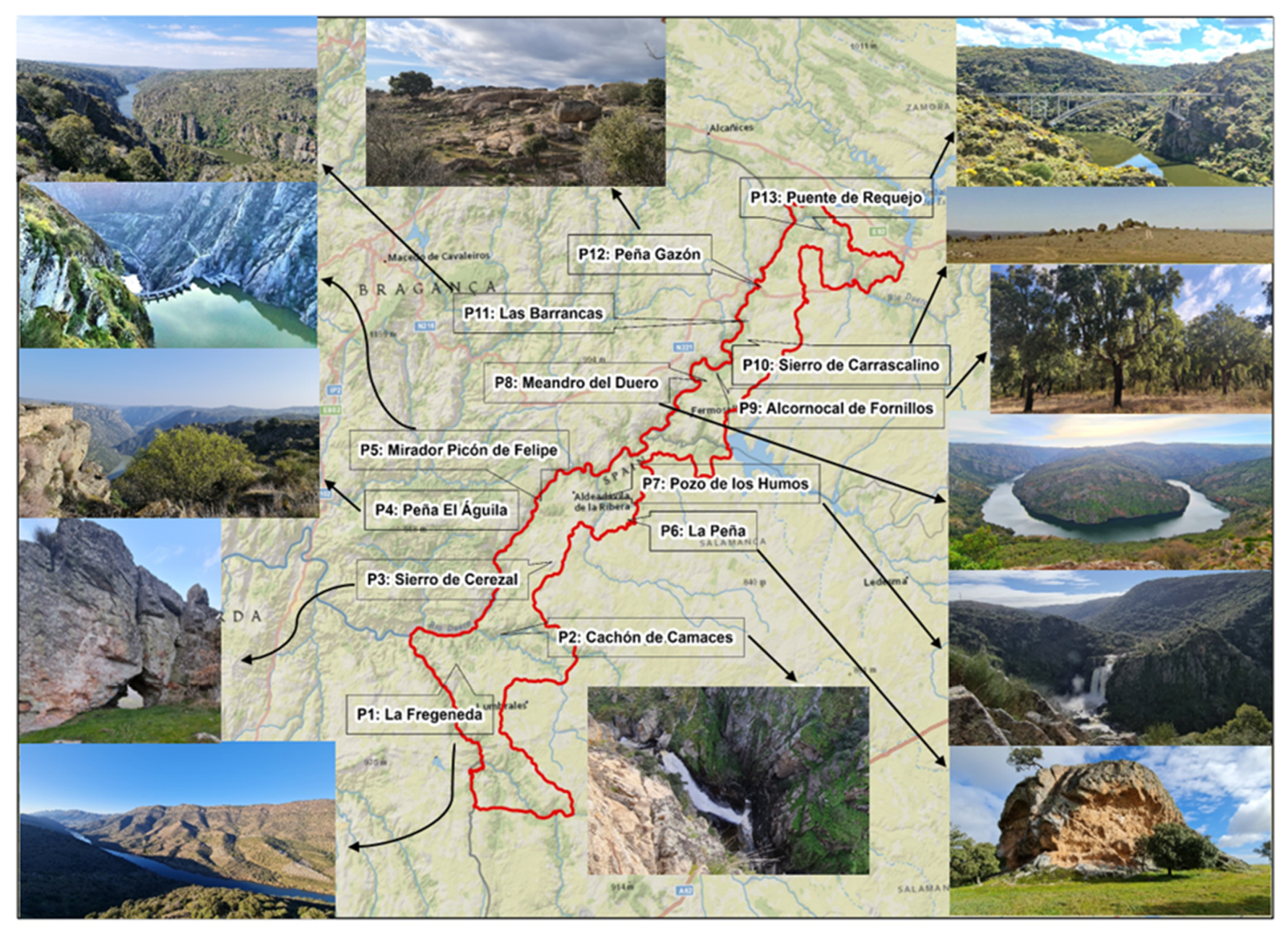 Sustainability 14 07066 g005