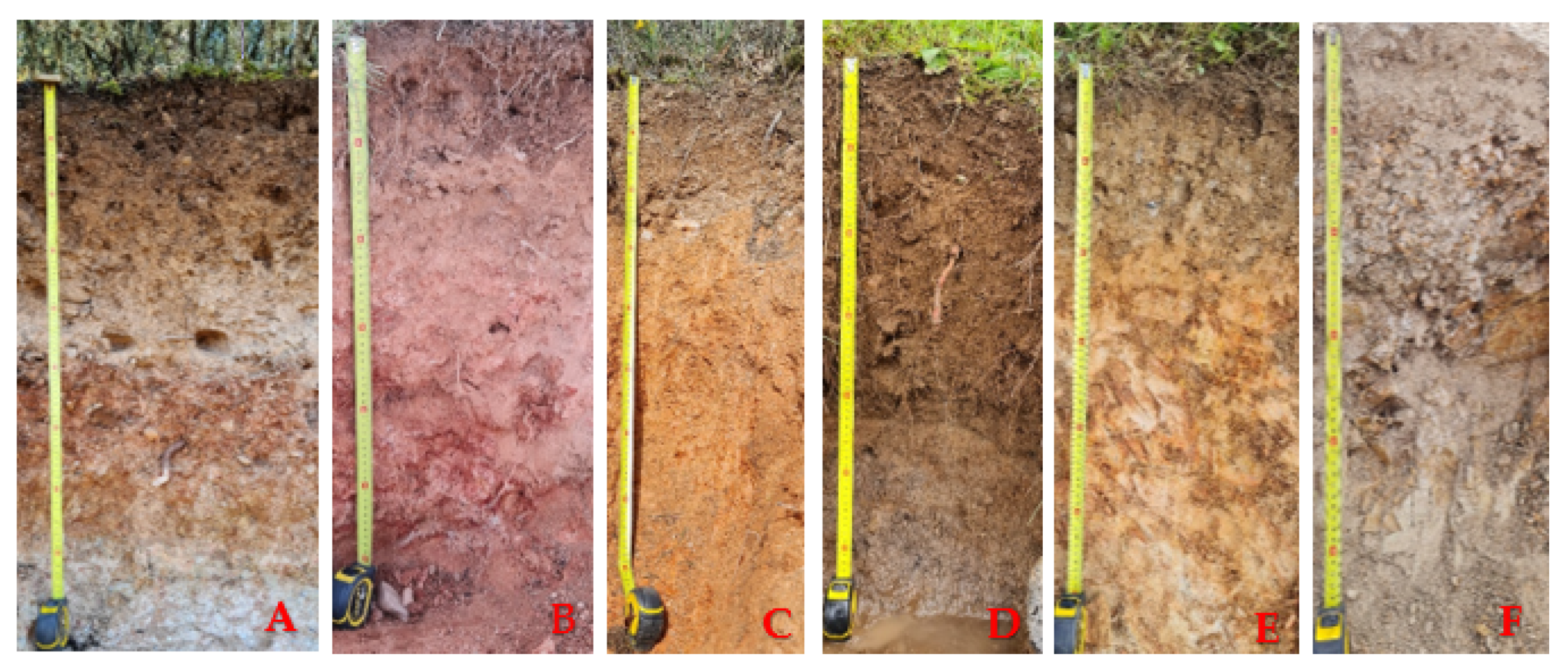 Sustainability 14 07066 g006