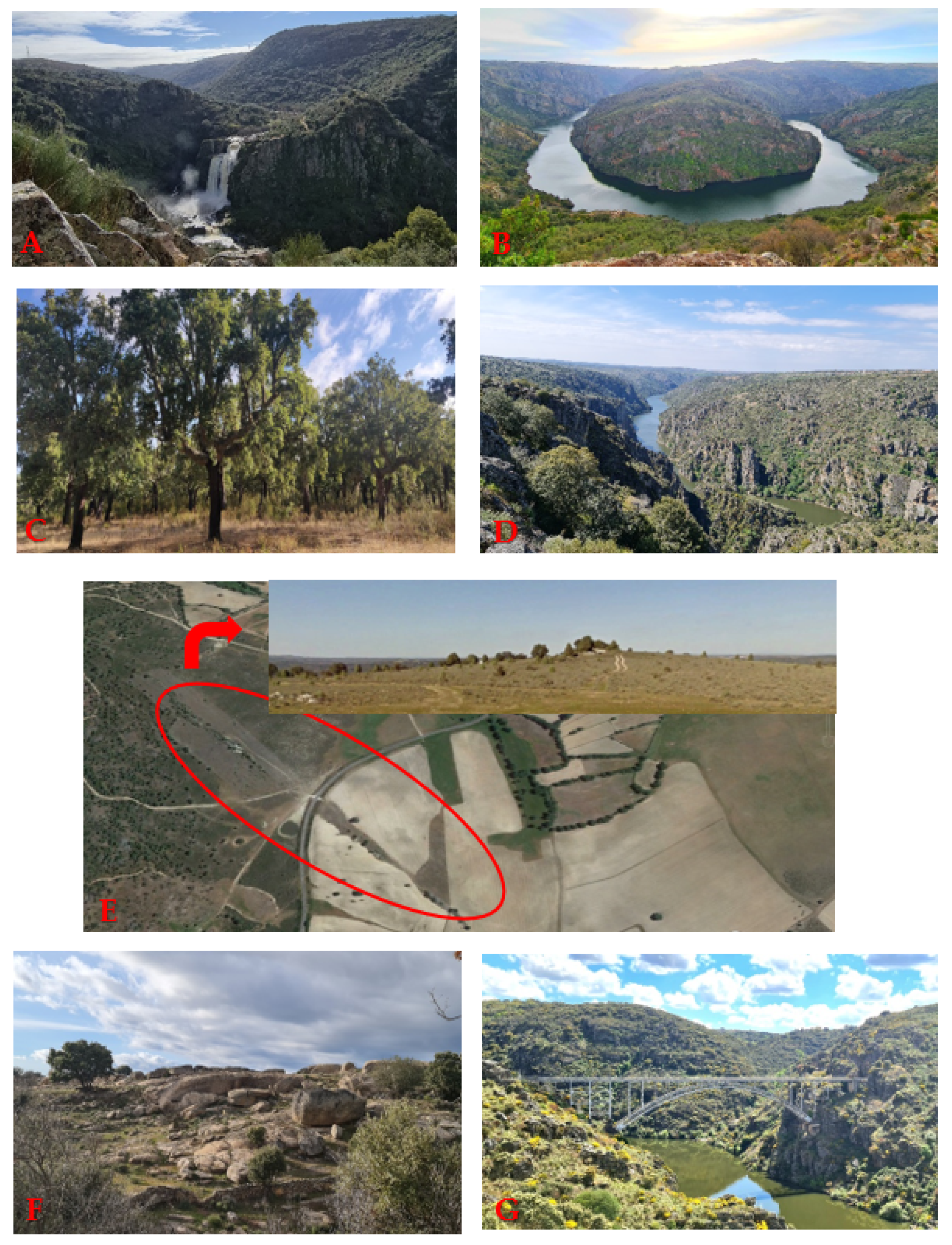 Sustainability 14 07066 g008