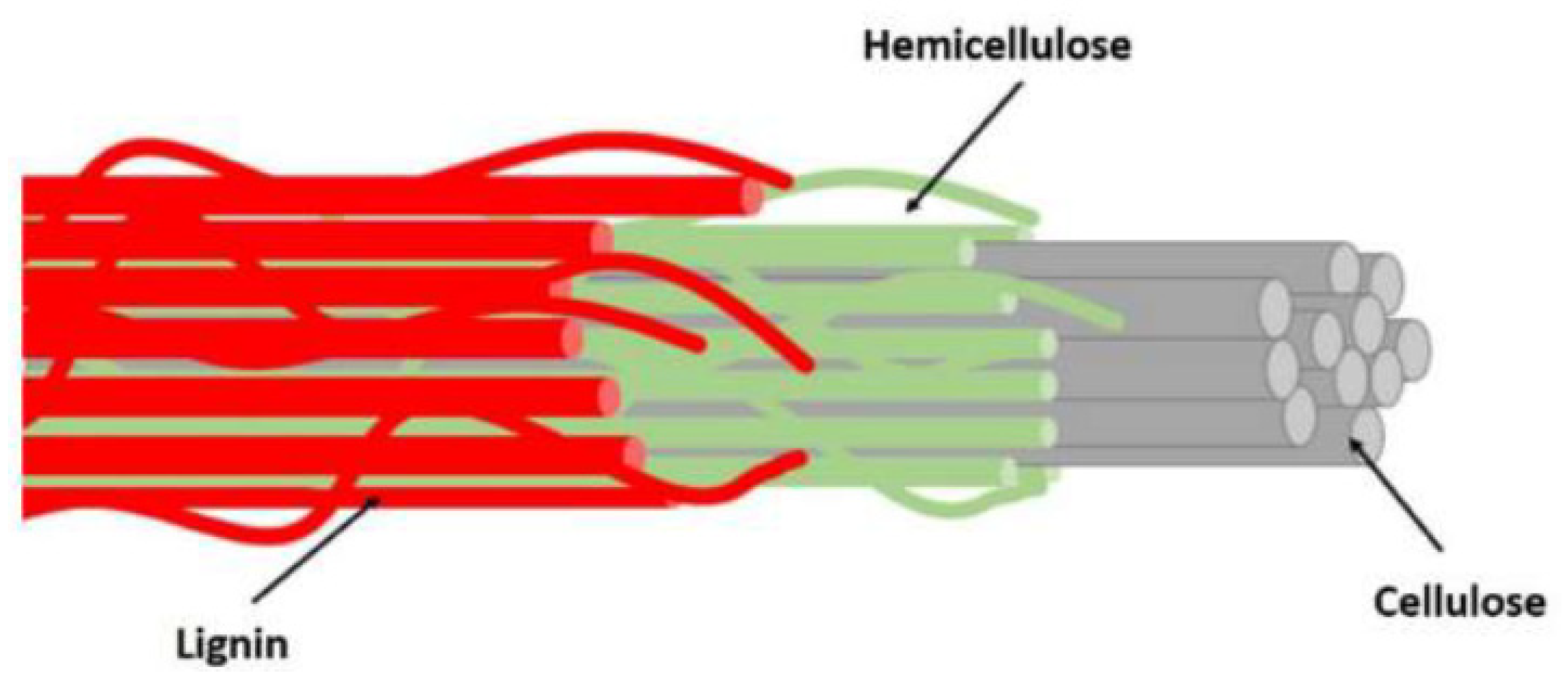 Sustainability 14 07092 g004 Sustainability 14 07092 g004
