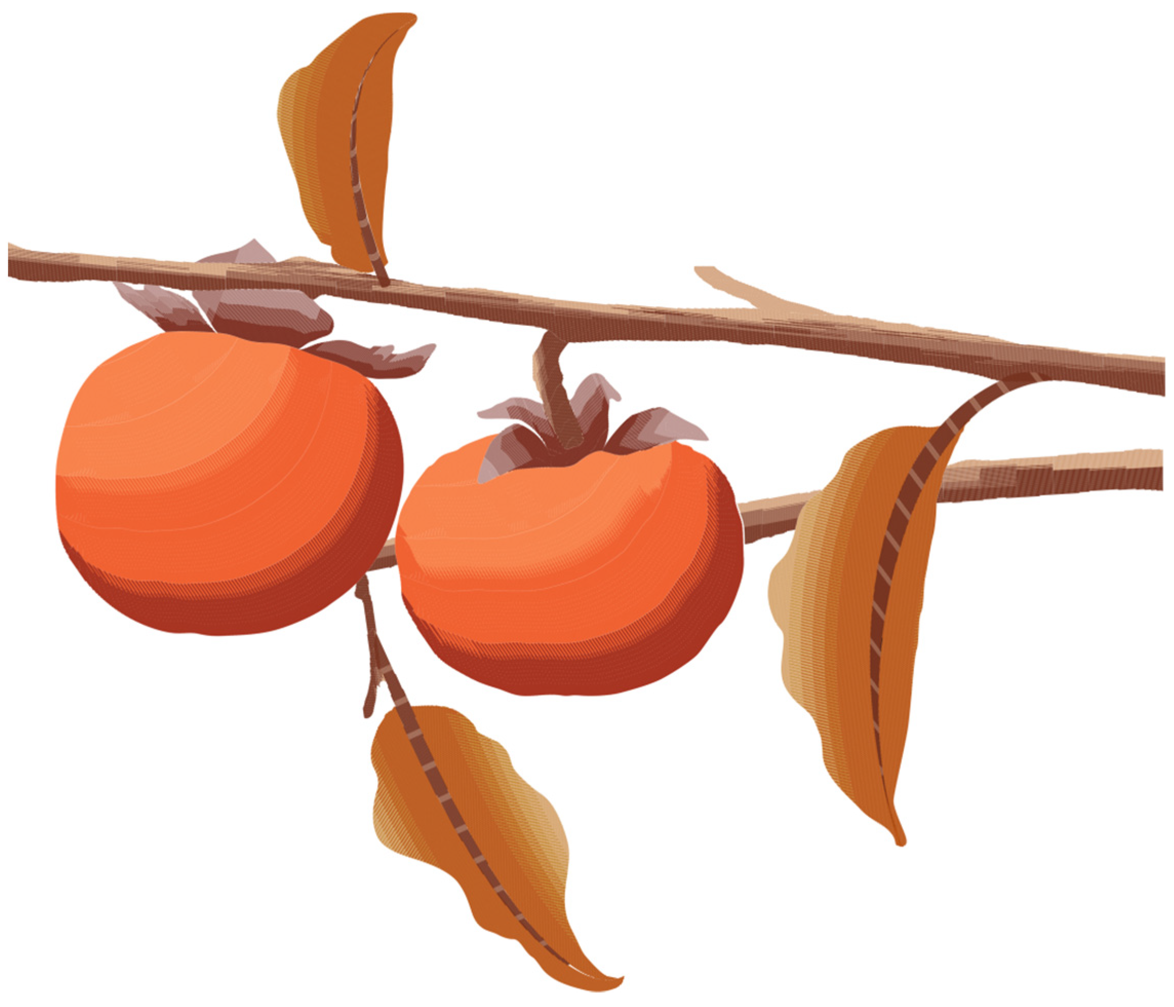 Sustainability 14 07094 g012 550