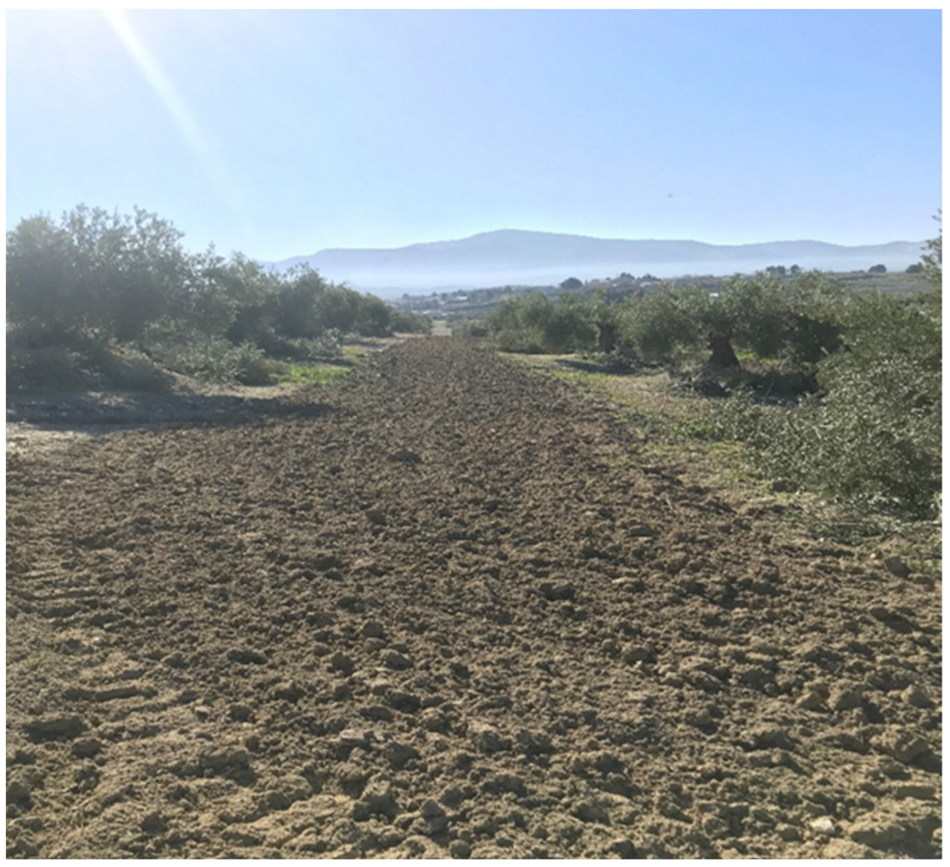 Sustainability 14 07097 g002 550