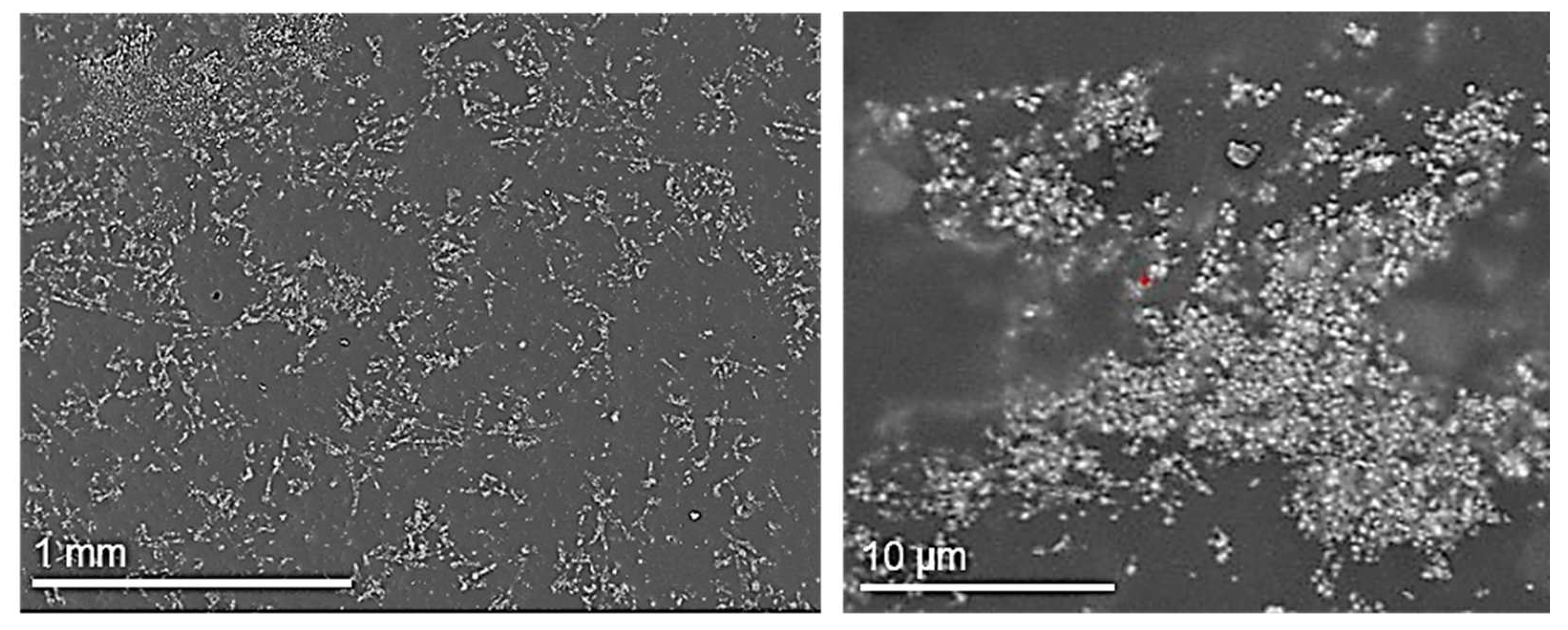 Sustainability 14 07102 g003 550