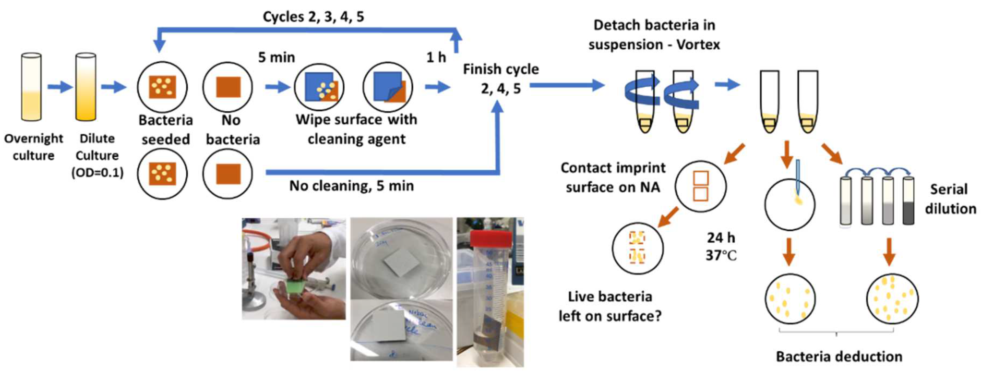 Sustainability 14 07102 g006 550