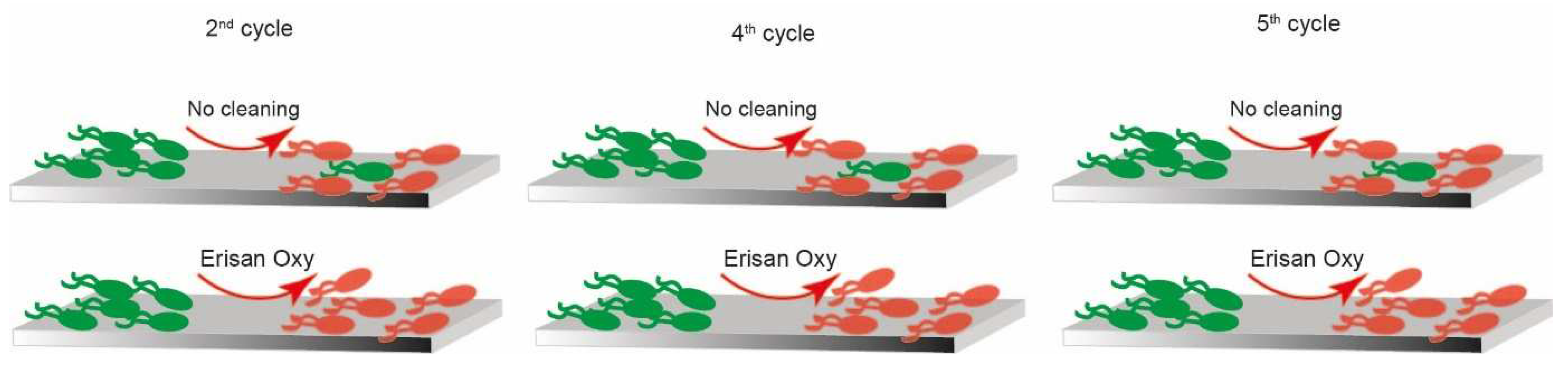 Sustainability 14 07102 g012 550