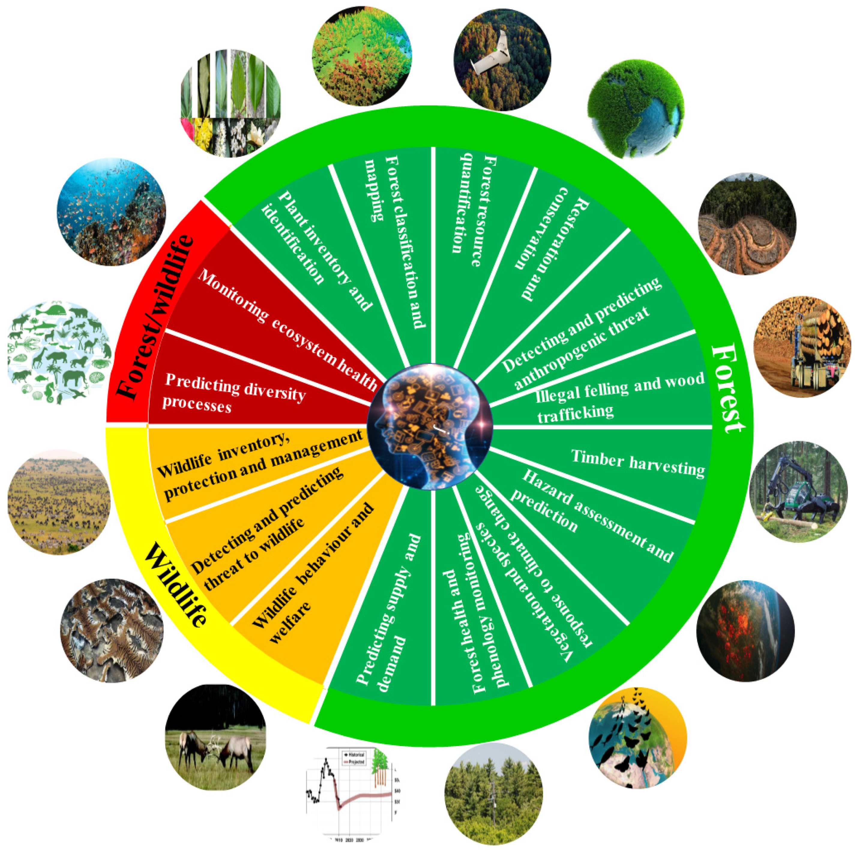 IV. Potential Negative Impacts of Green Energy on Wildlife and Biodiversity Conservation