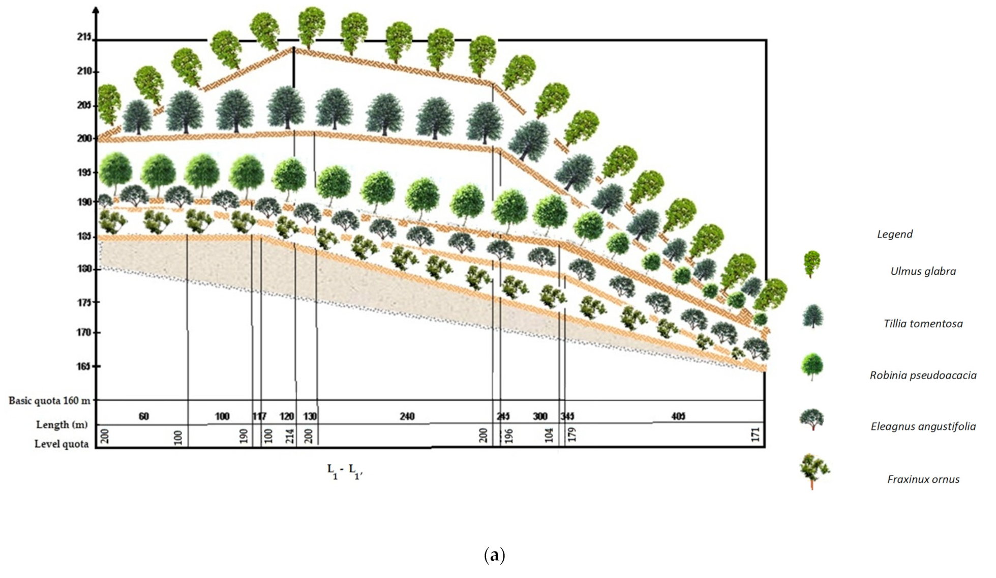 Sustainability 14 07160 g006a