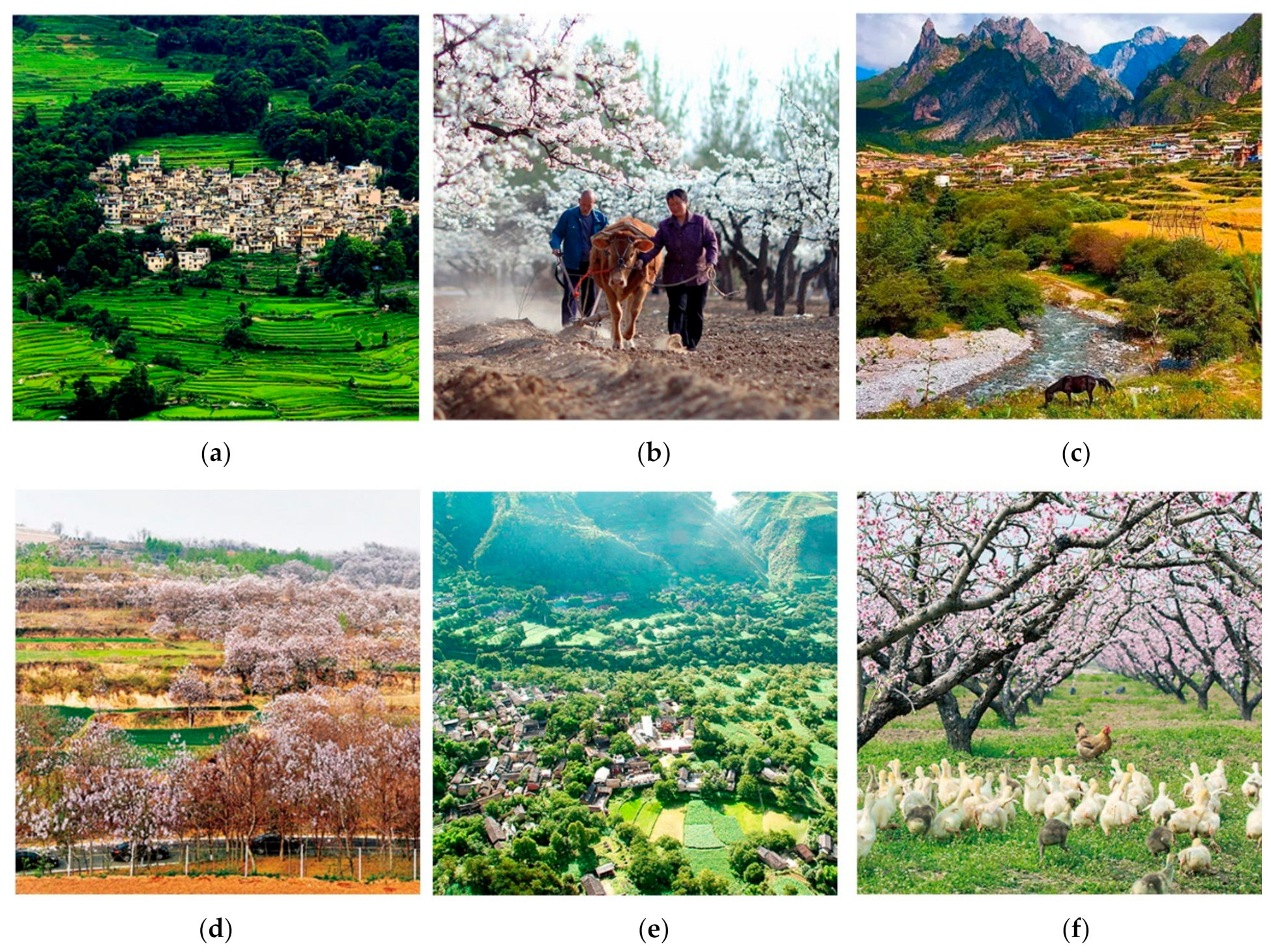 Sustainability 14 07239 g001