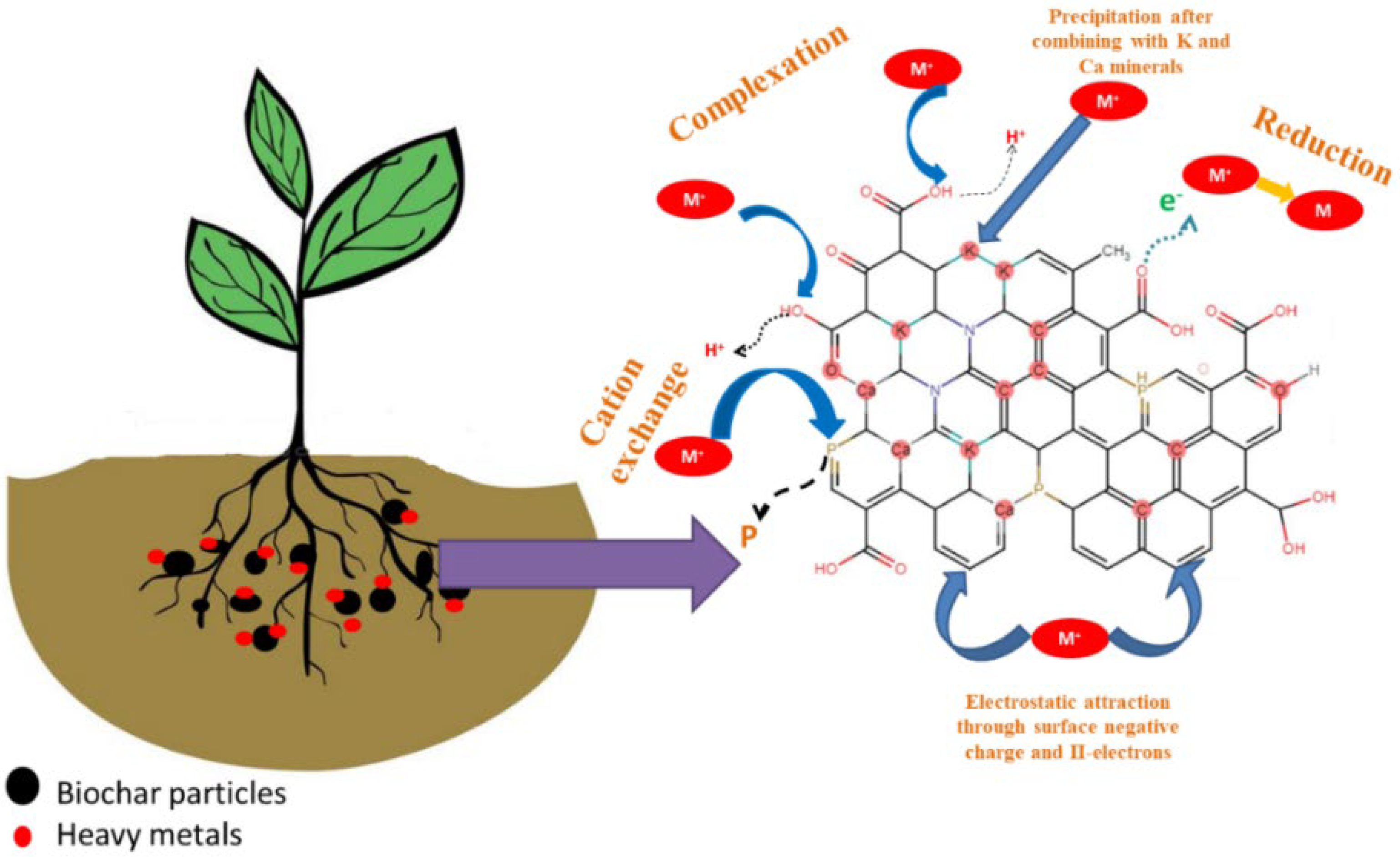 Sustainability 14 07266 g004 Sustainability 14 07266 g004