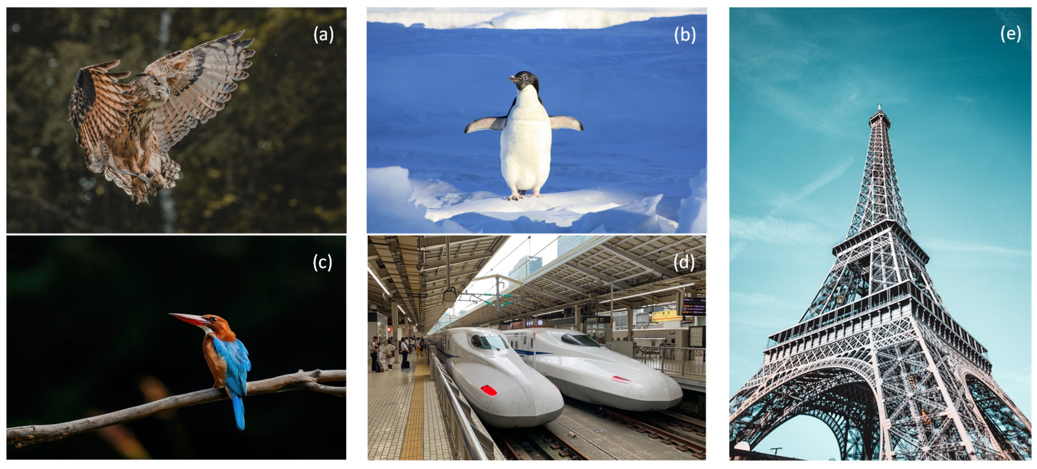 Sustainability 14 07287 g001