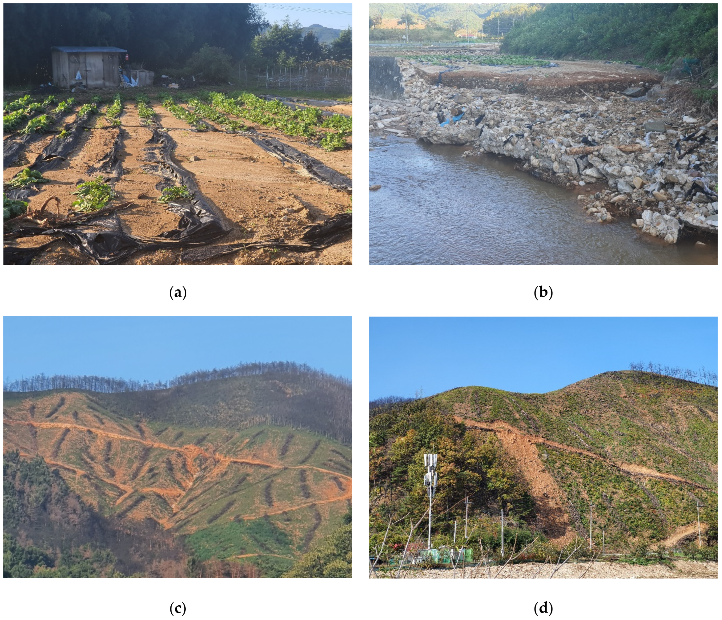 Sustainability 14 07339 g003 Sustainability 14 07339 g003