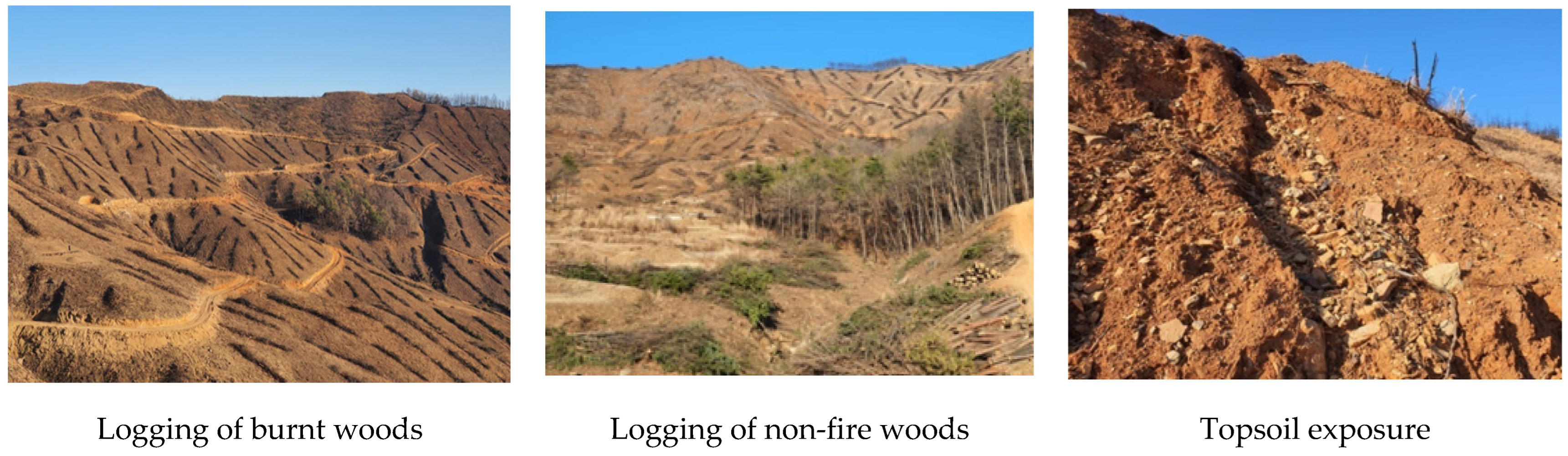 Sustainability 14 07339 g017 Sustainability 14 07339 g017