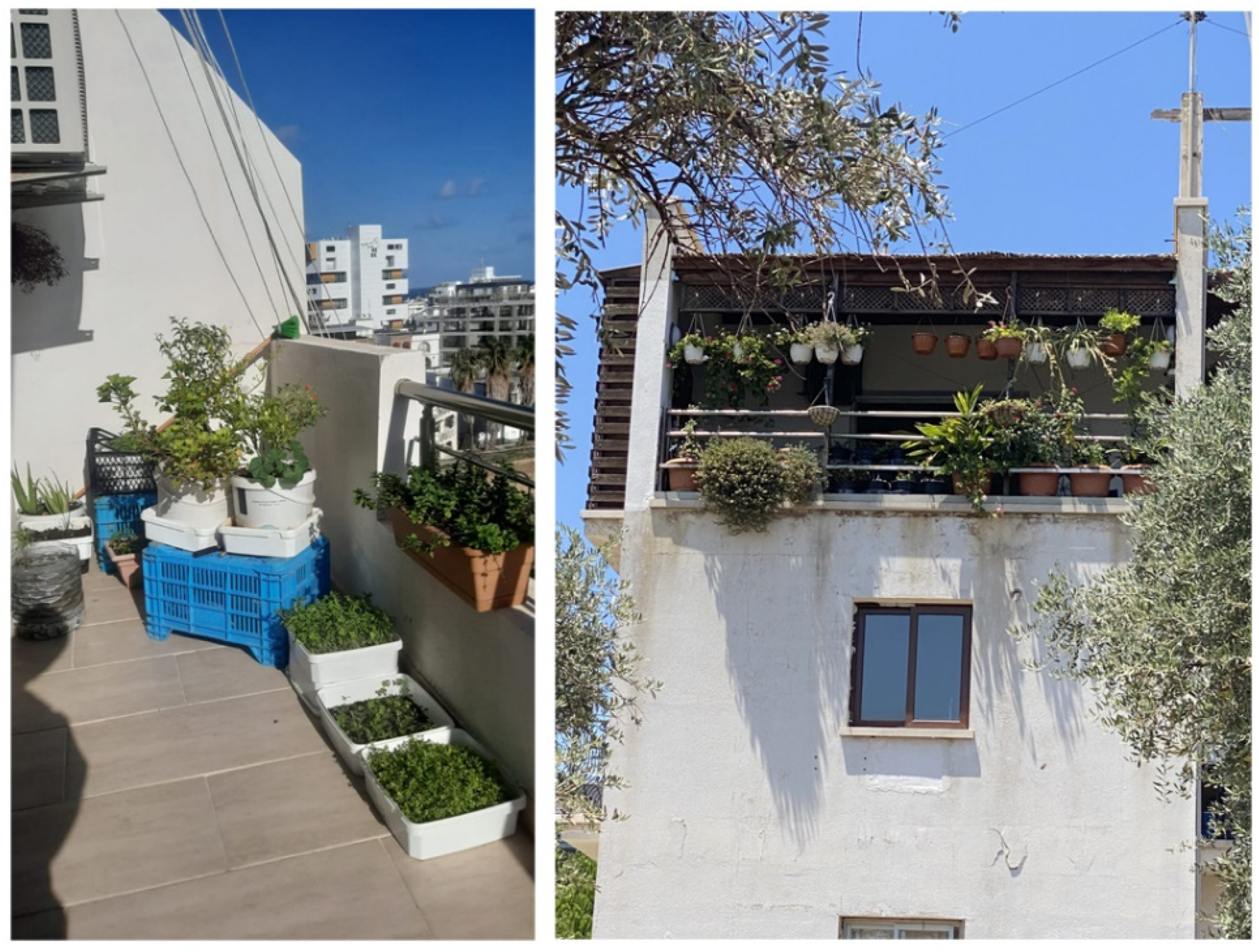 Sustainability 14 07392 g013