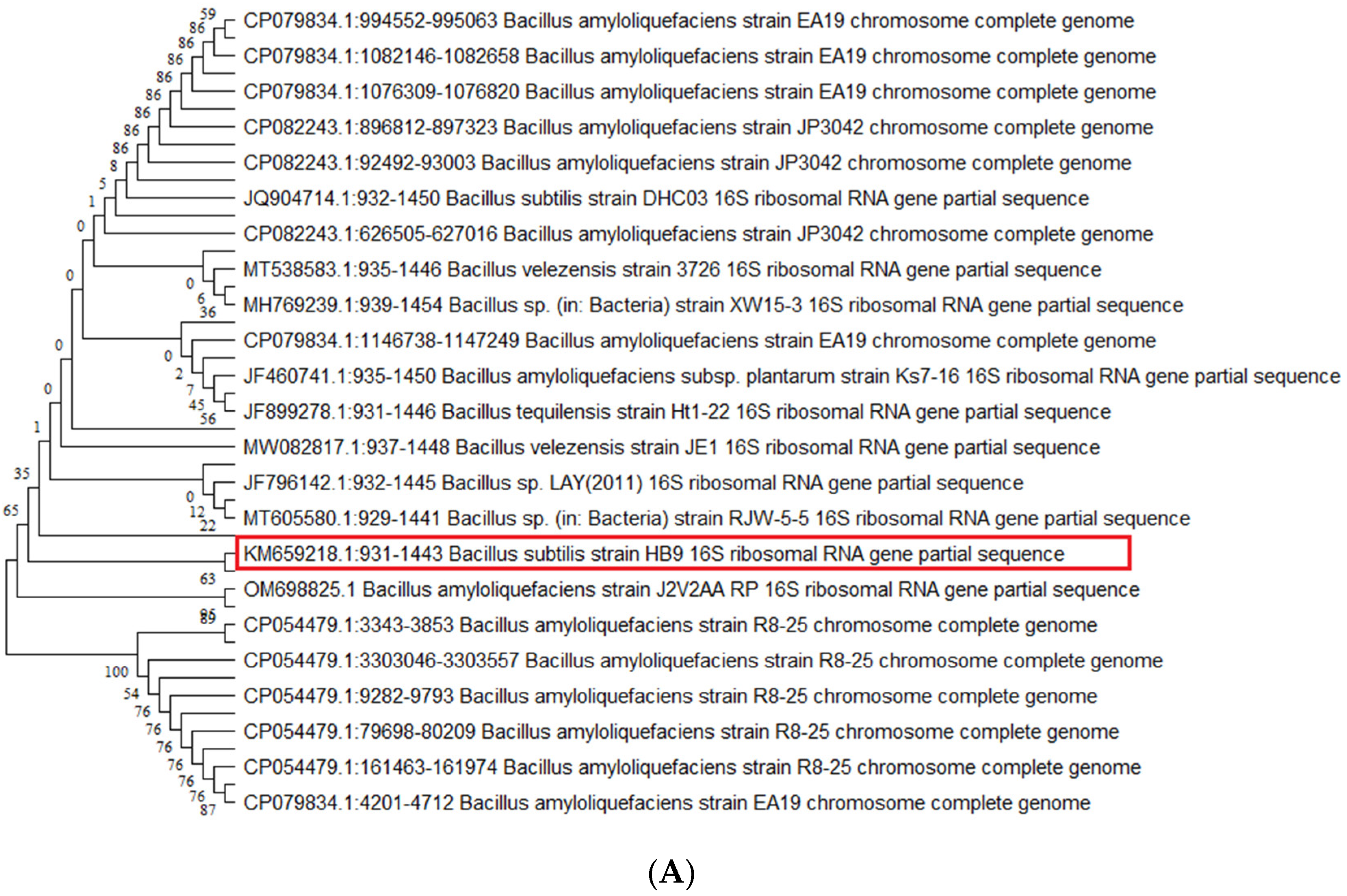 Sustainability 14 07400 g006a