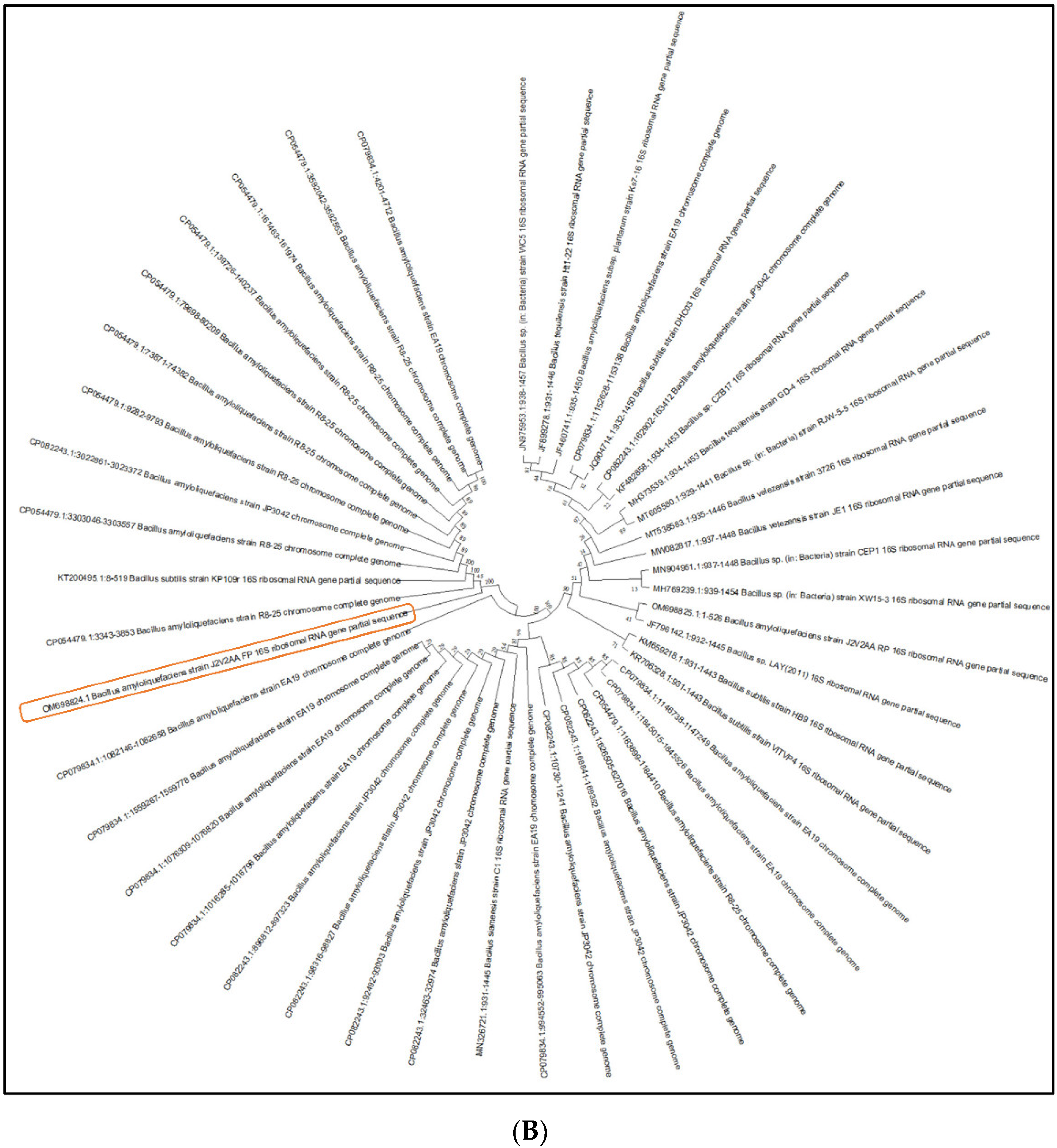 Sustainability 14 07400 g006b