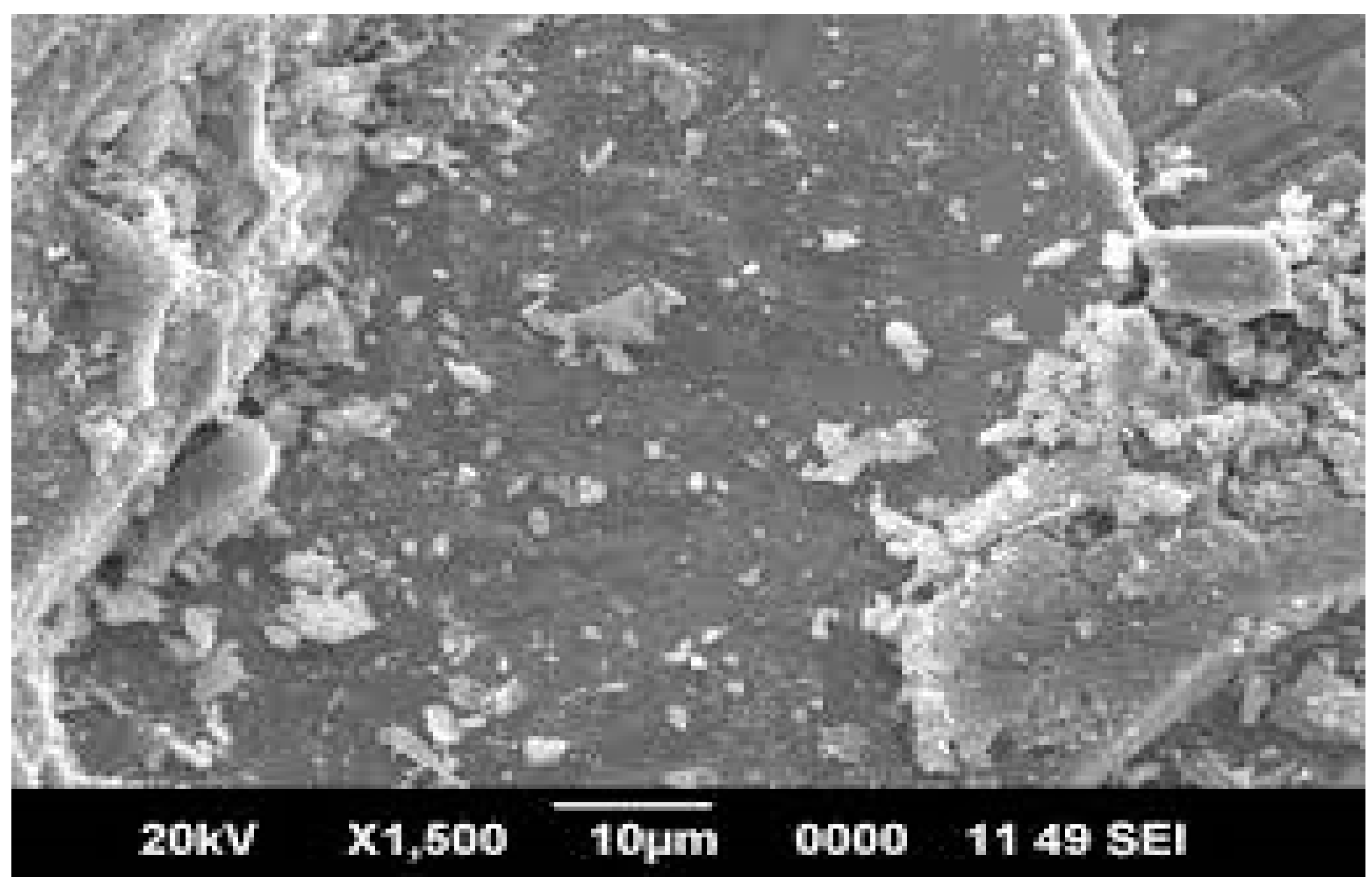 Sustainability 14 07403 g010