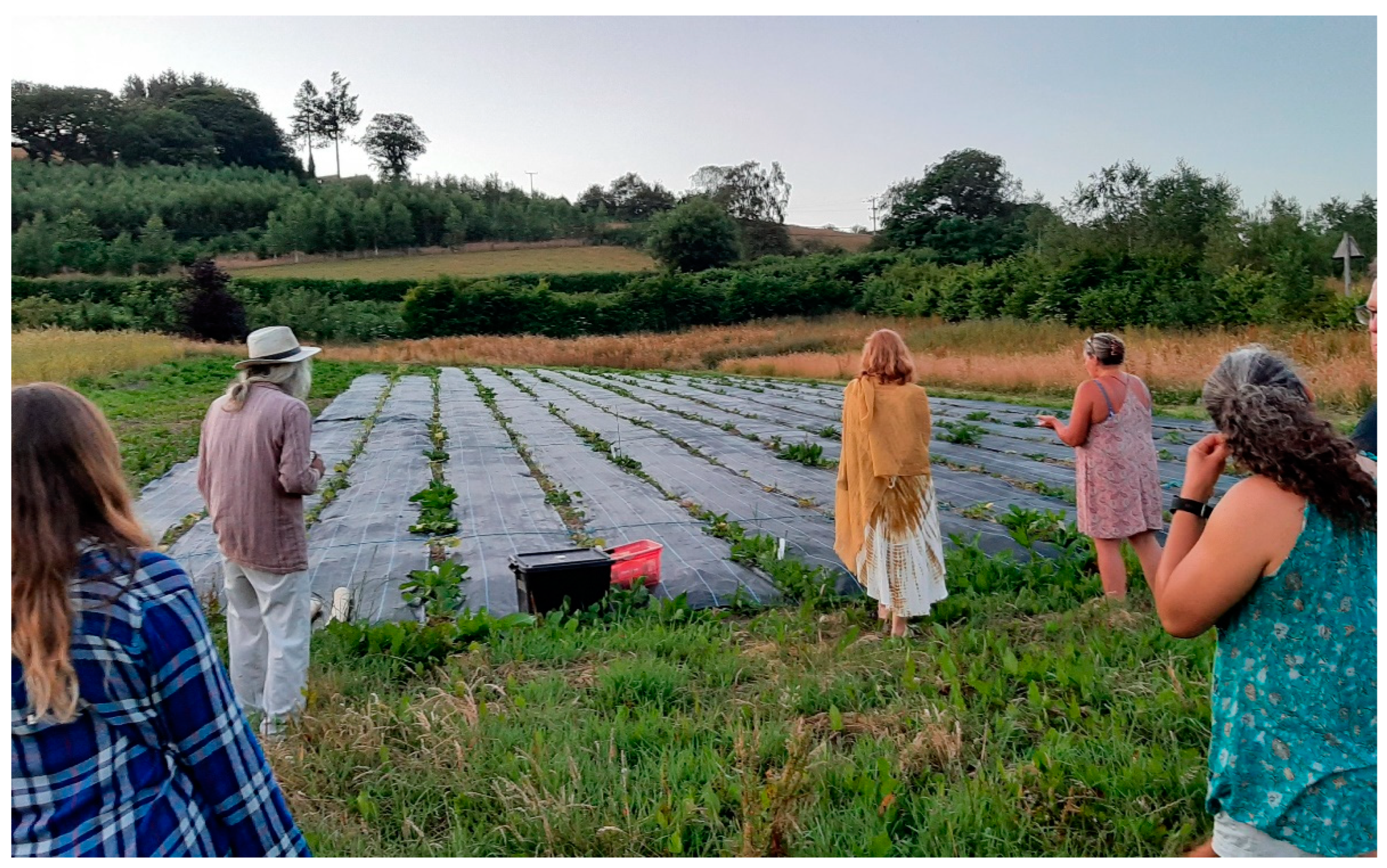 Sustainability 14 07419 g003