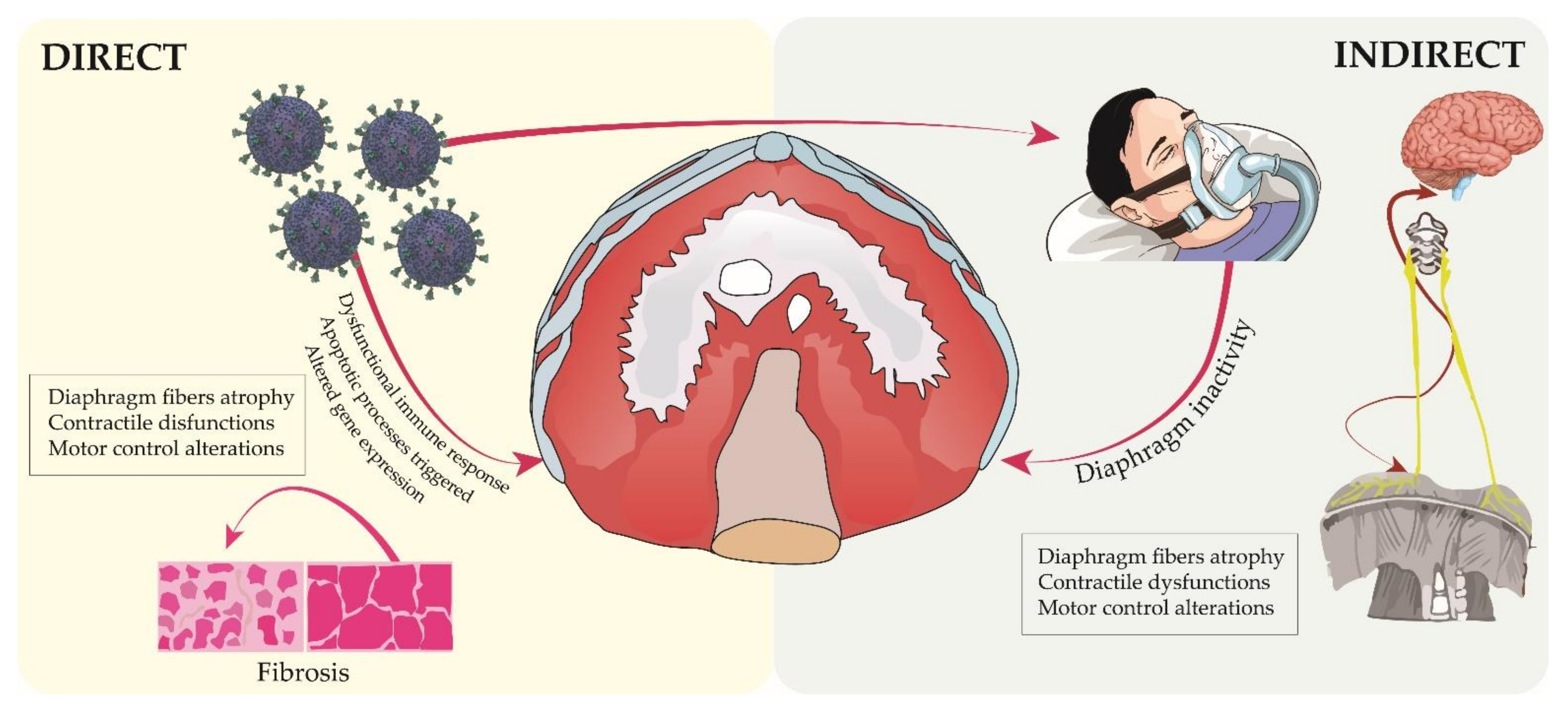 Sustainability 14 07446 g001 Sustainability 14 07446 g001