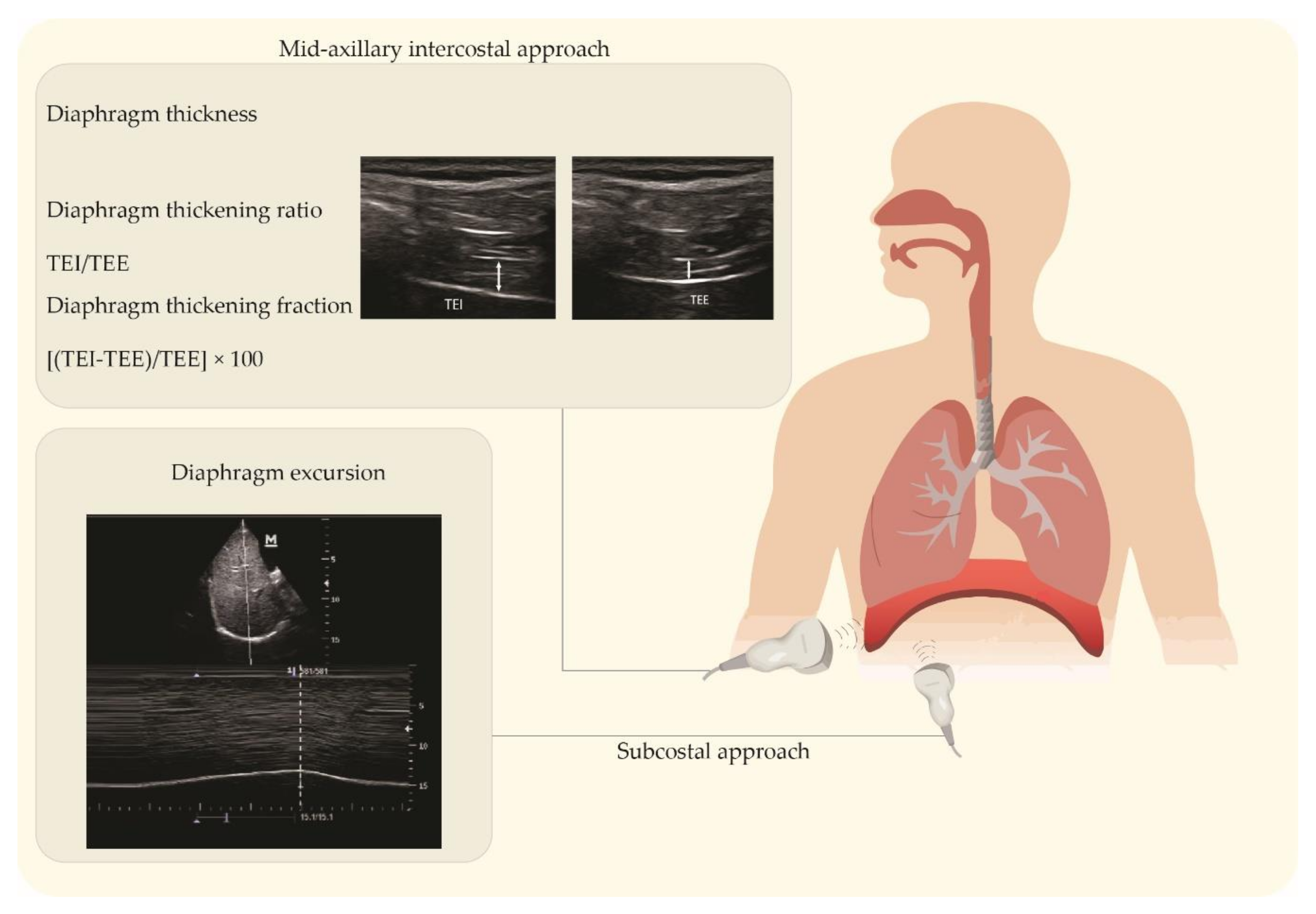 Sustainability 14 07446 g002 Sustainability 14 07446 g002