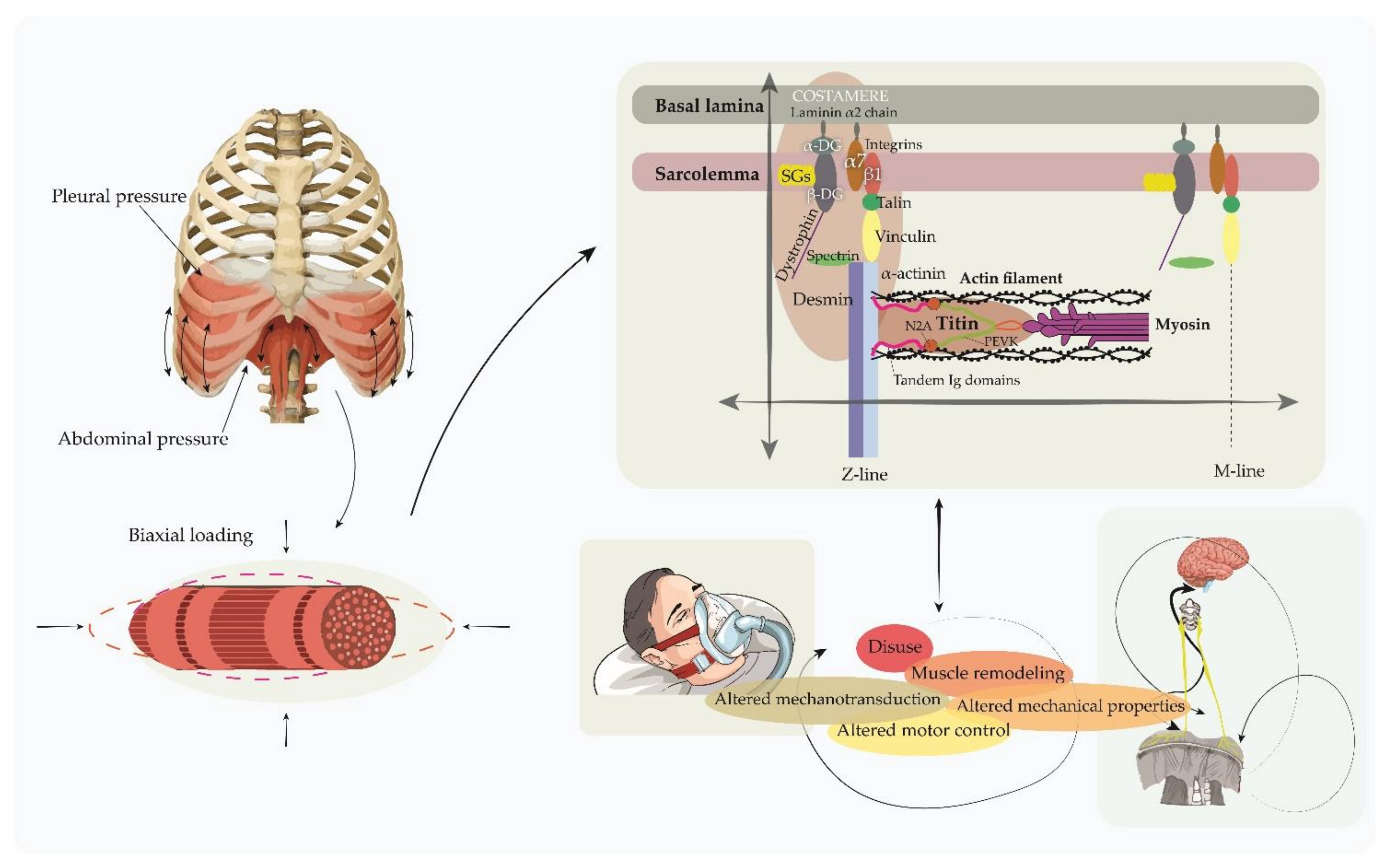Sustainability 14 07446 g003 Sustainability 14 07446 g003