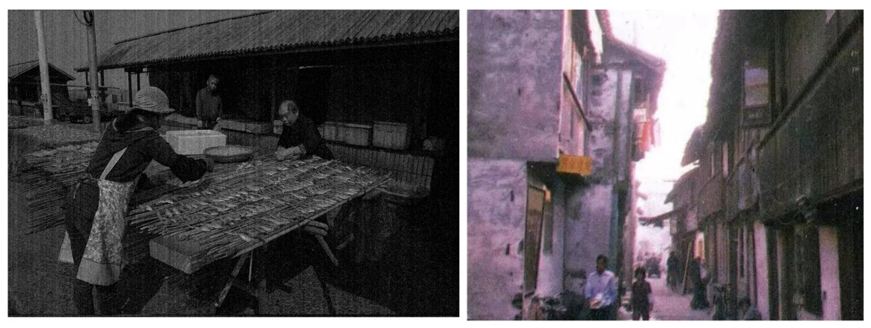 Sustainability 14 07451 g017