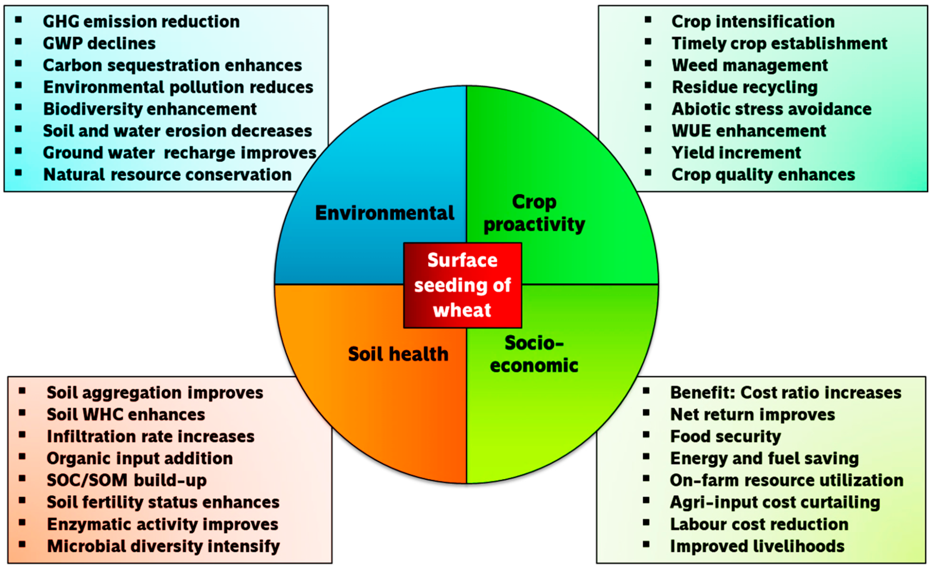 II. Importance of Sustainability in Agriculture