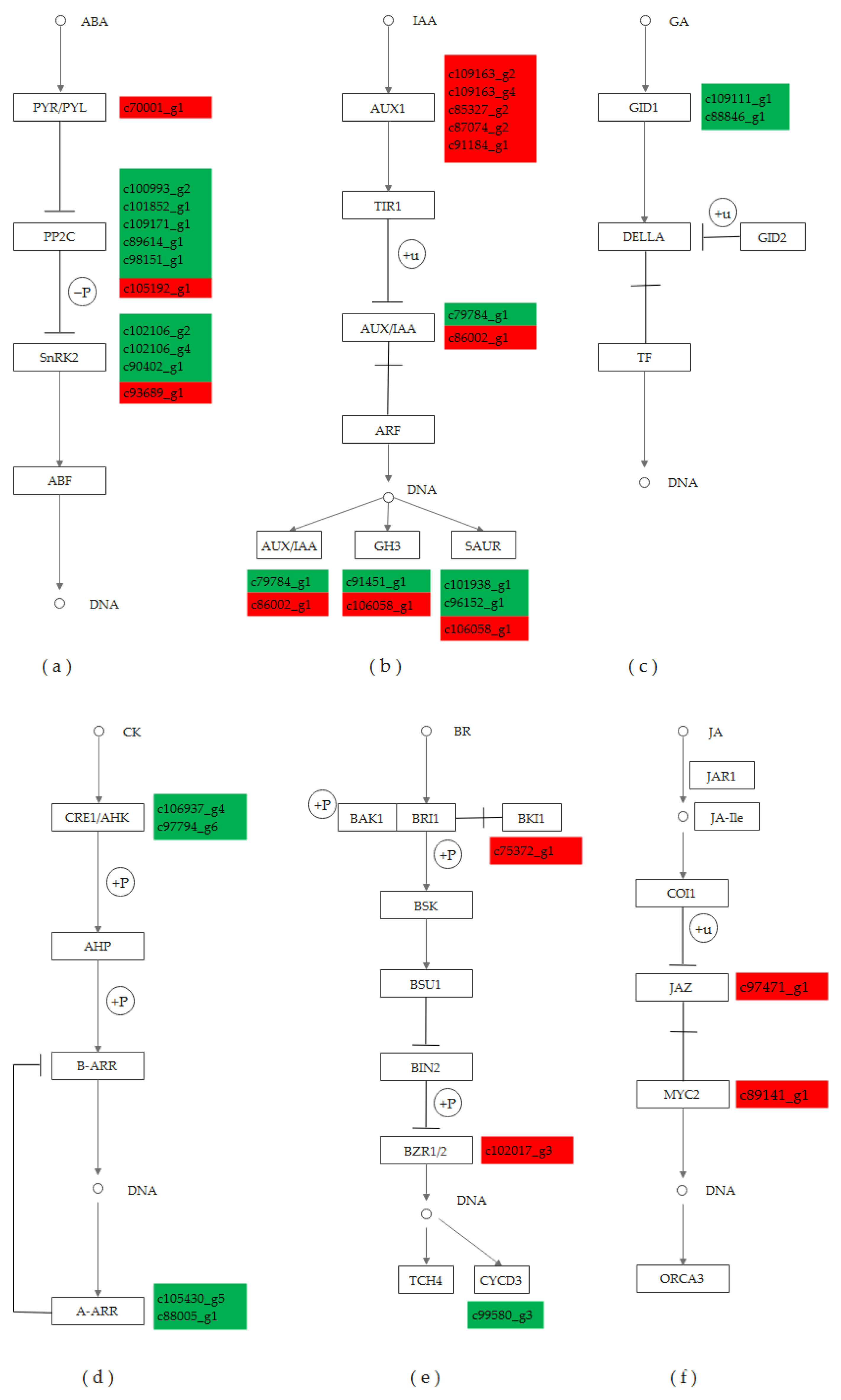 Sustainability 14 07479 g006