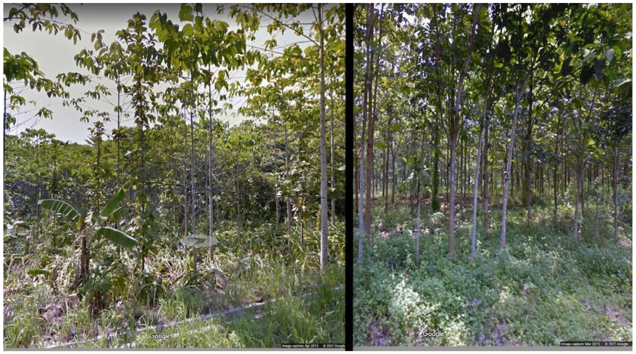 Sustainability 14 07592 g010