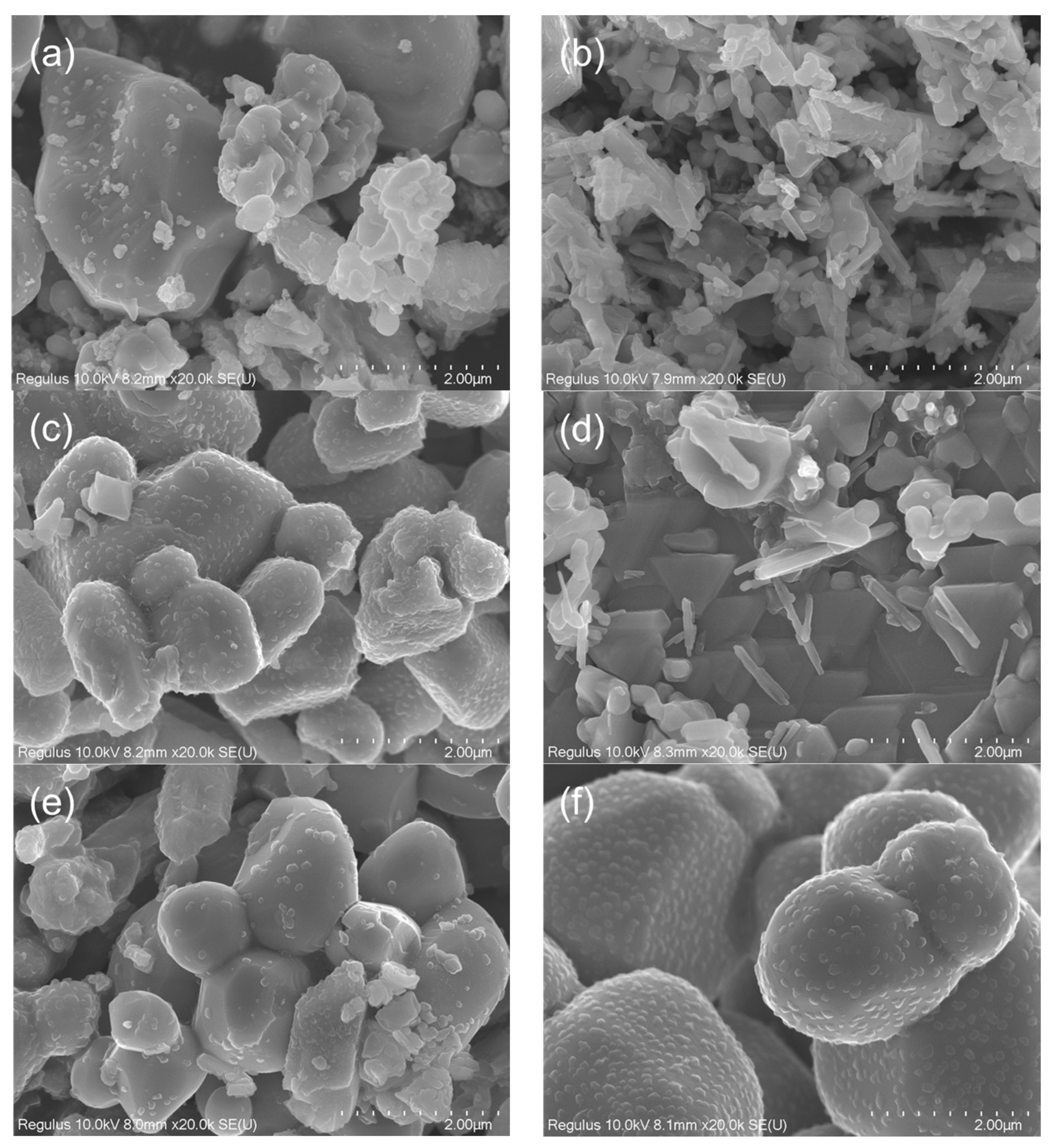 Sustainability 14 07597 g007