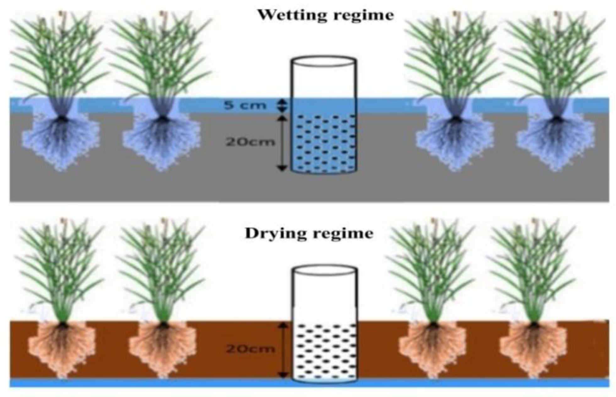 Sustainability 14 07622 g001 Sustainability 14 07622 g001