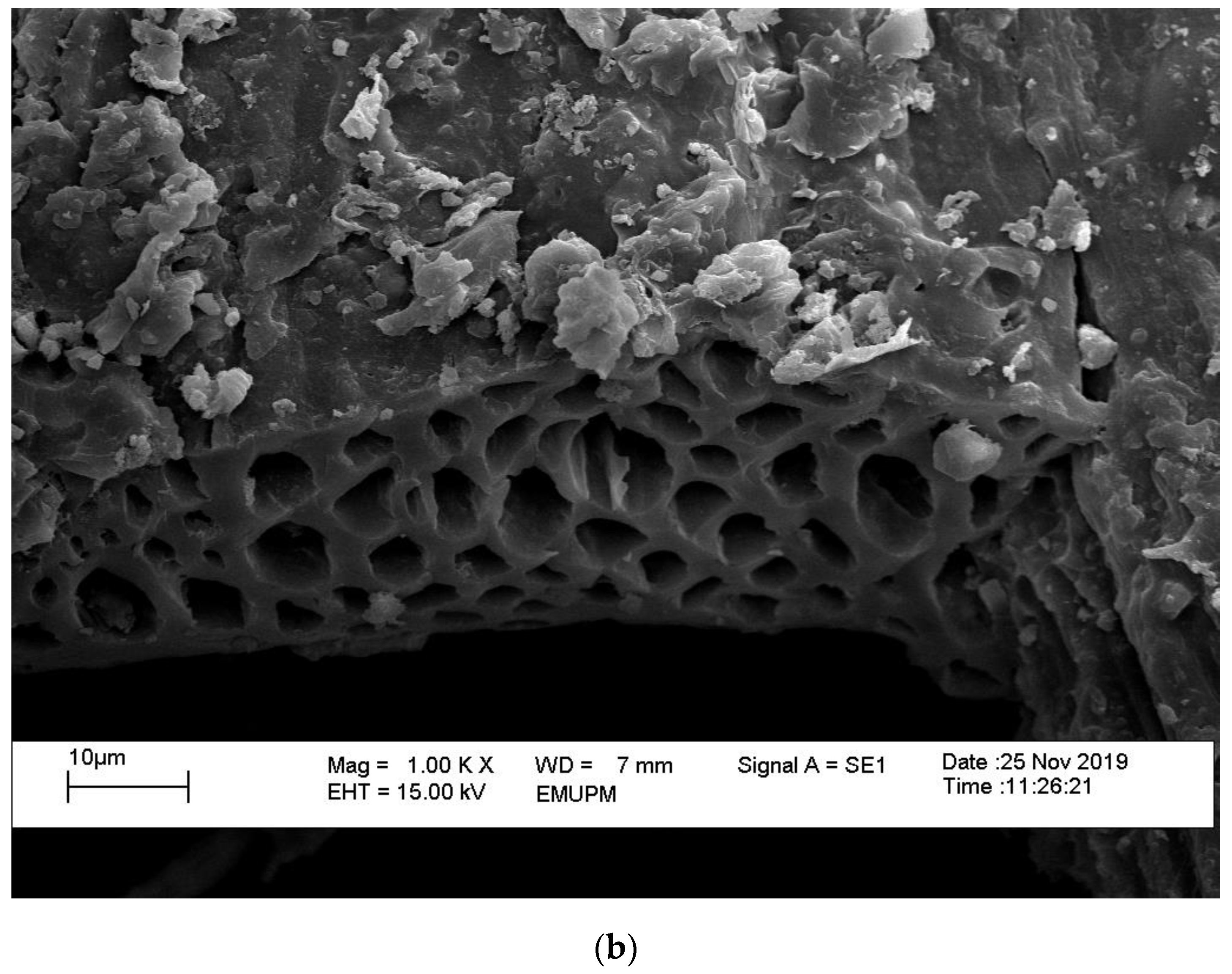 Sustainability 14 07622 g002b Sustainability 14 07622 g002b