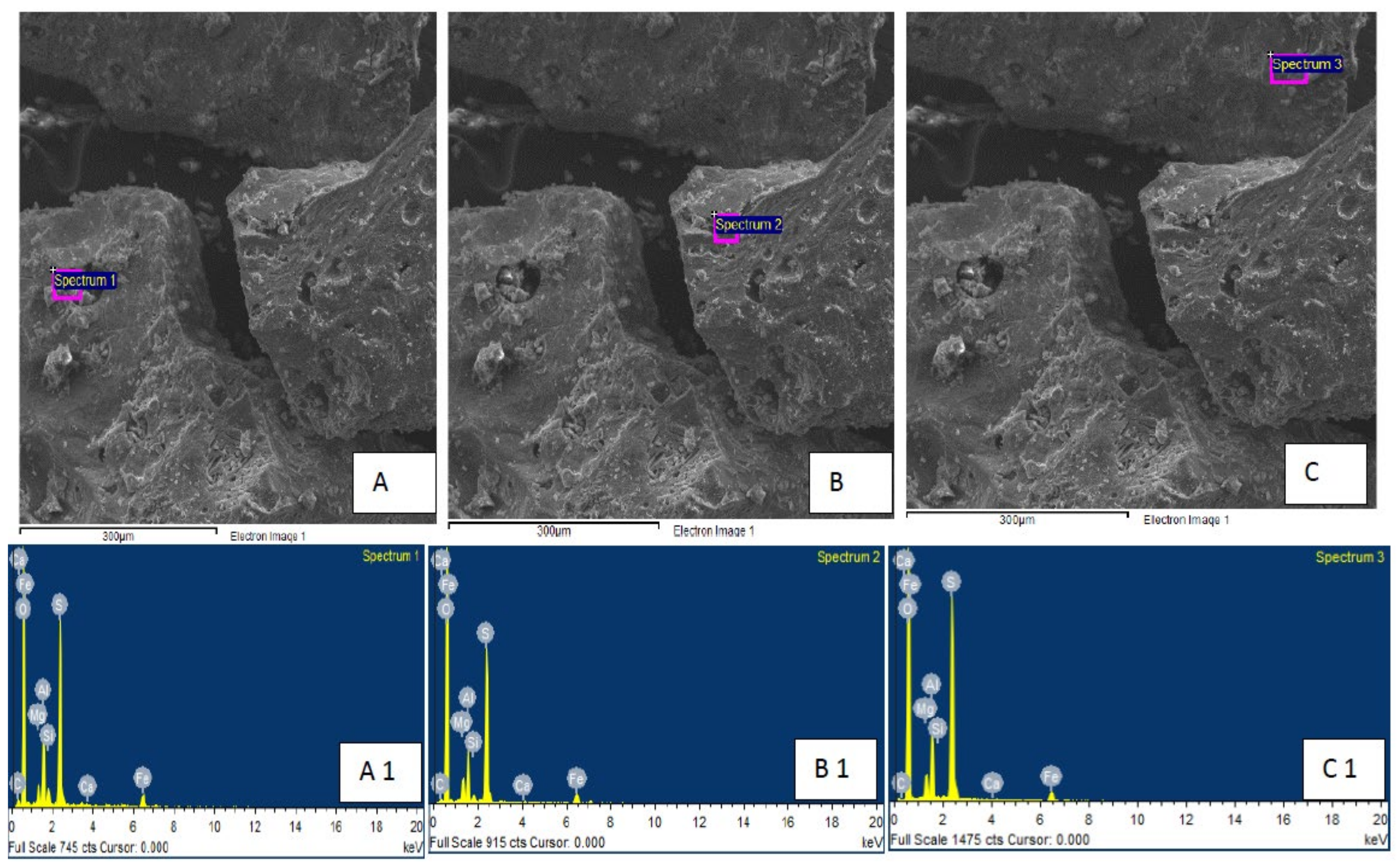Sustainability 14 07693 g012