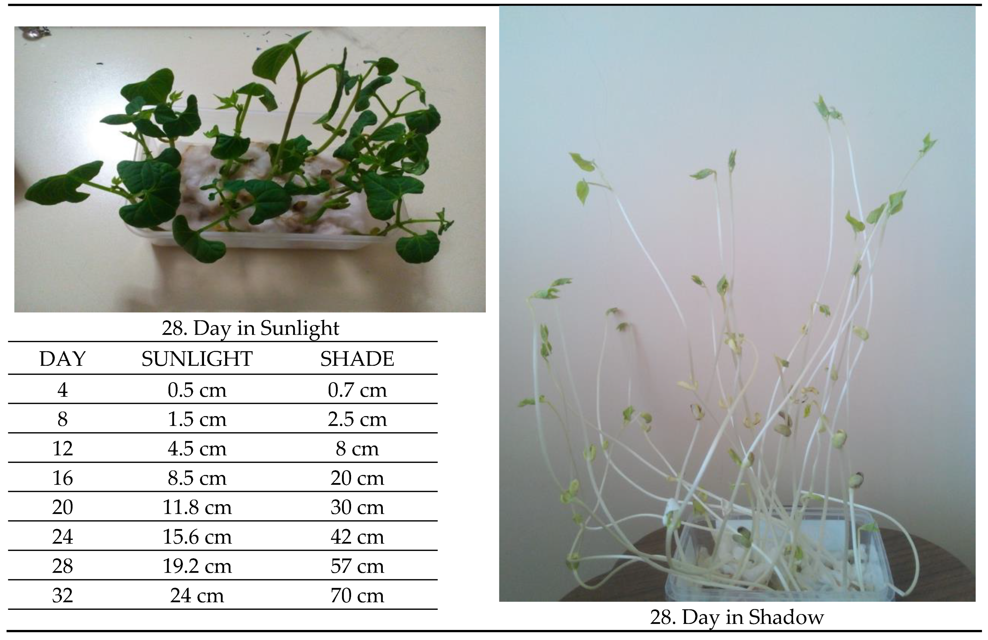Sustainability 14 07703 g001a Sustainability 14 07703 g001a