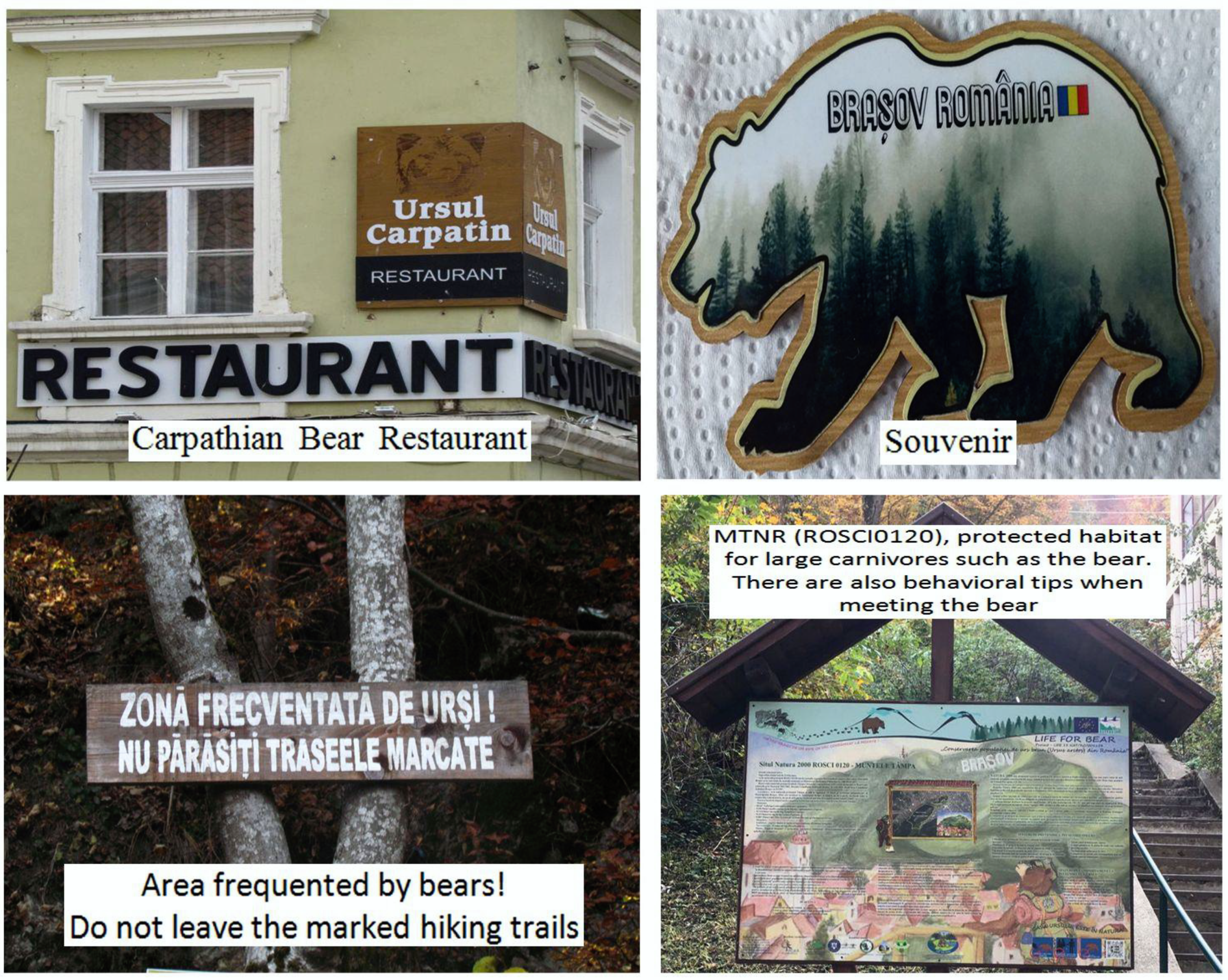 Sustainability 14 07833 g002