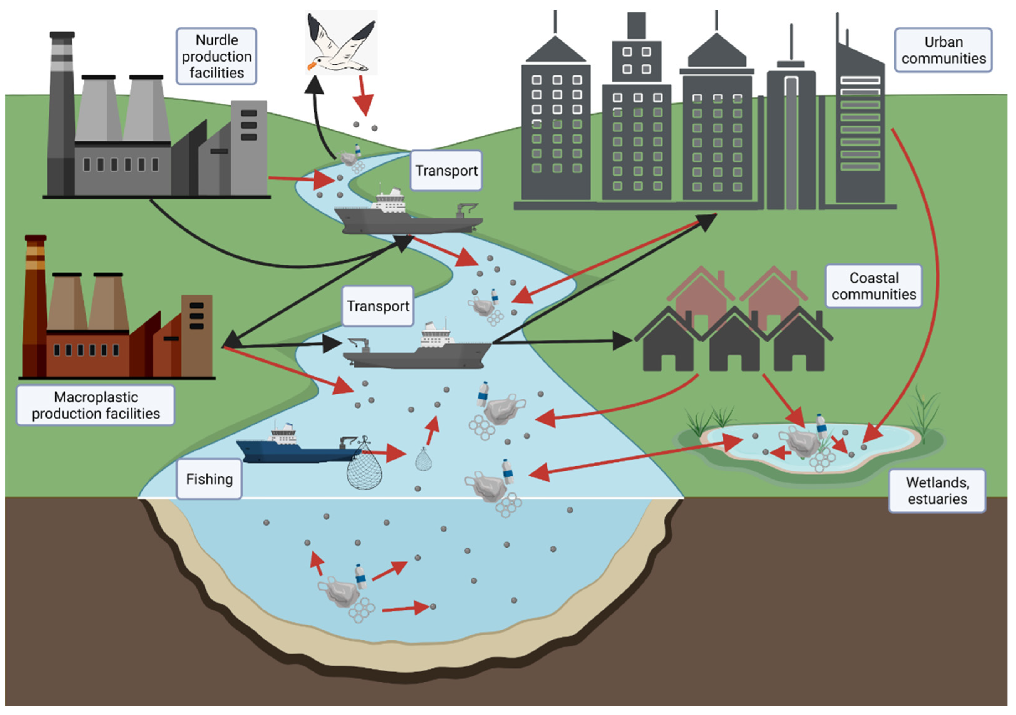 Sustainability | Free Full-Text | Microplastics in the Gulf of Mexico: A Bird&rsquo;s Eye View