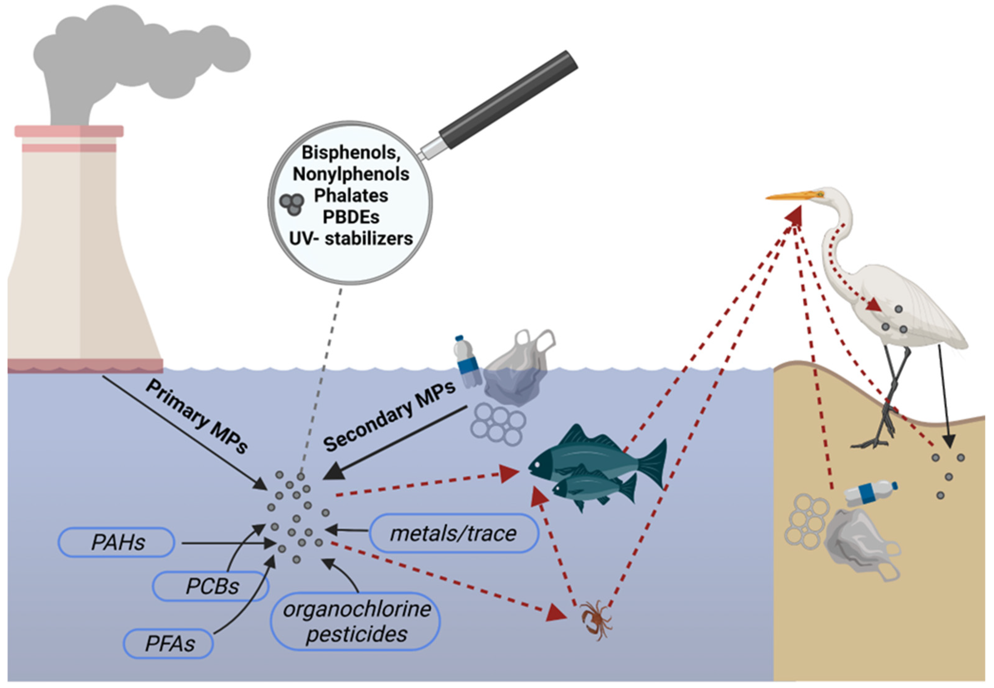 Sustainability 14 07849 g003