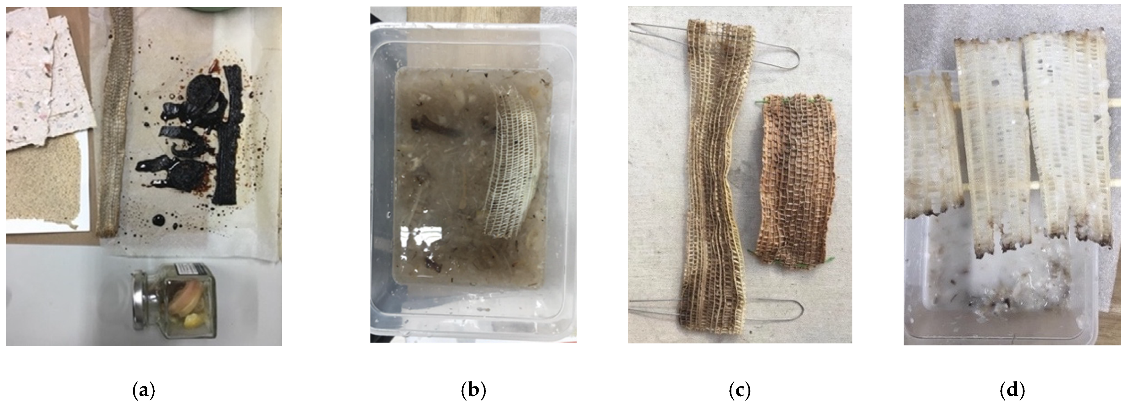 Sustainability 14 07872 g008